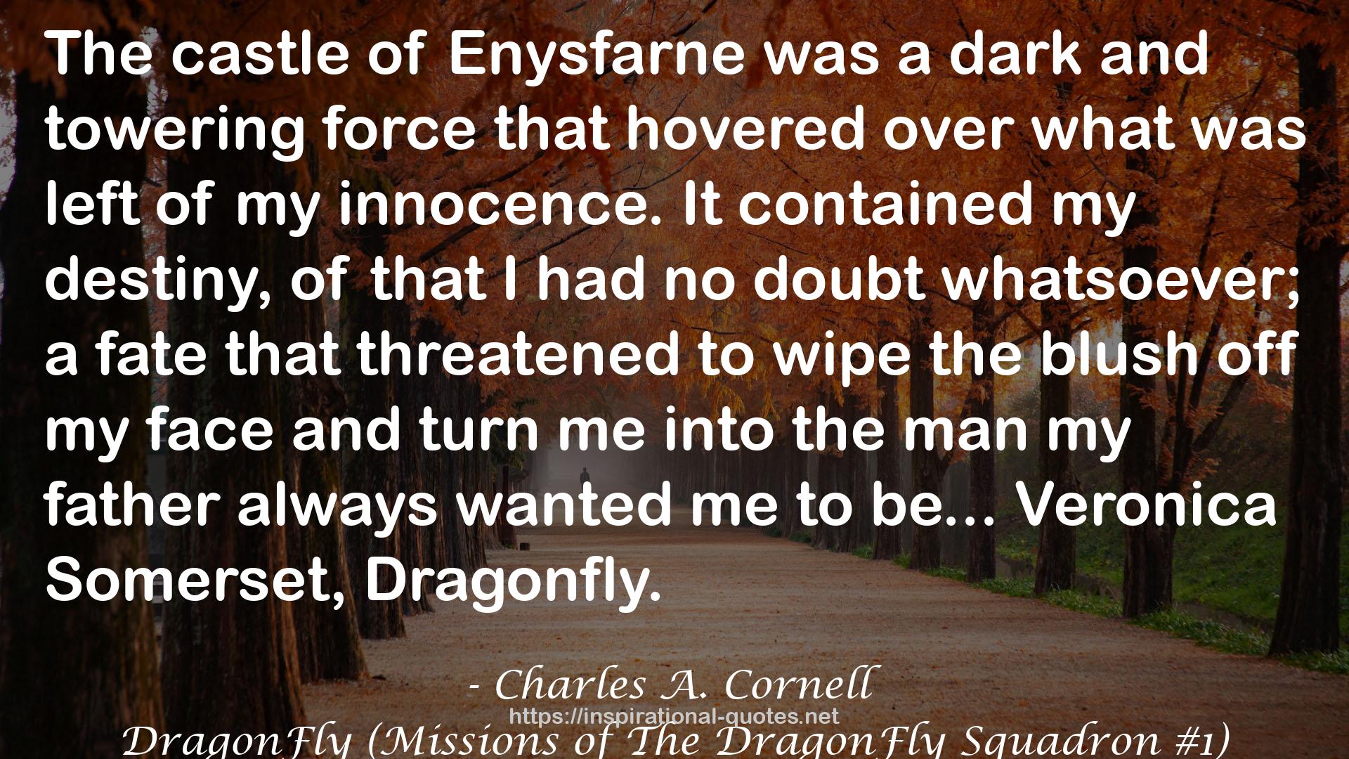 DragonFly (Missions of The DragonFly Squadron #1) QUOTES