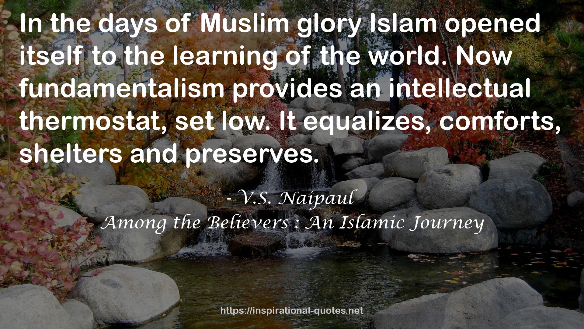 V.S. Naipaul QUOTES