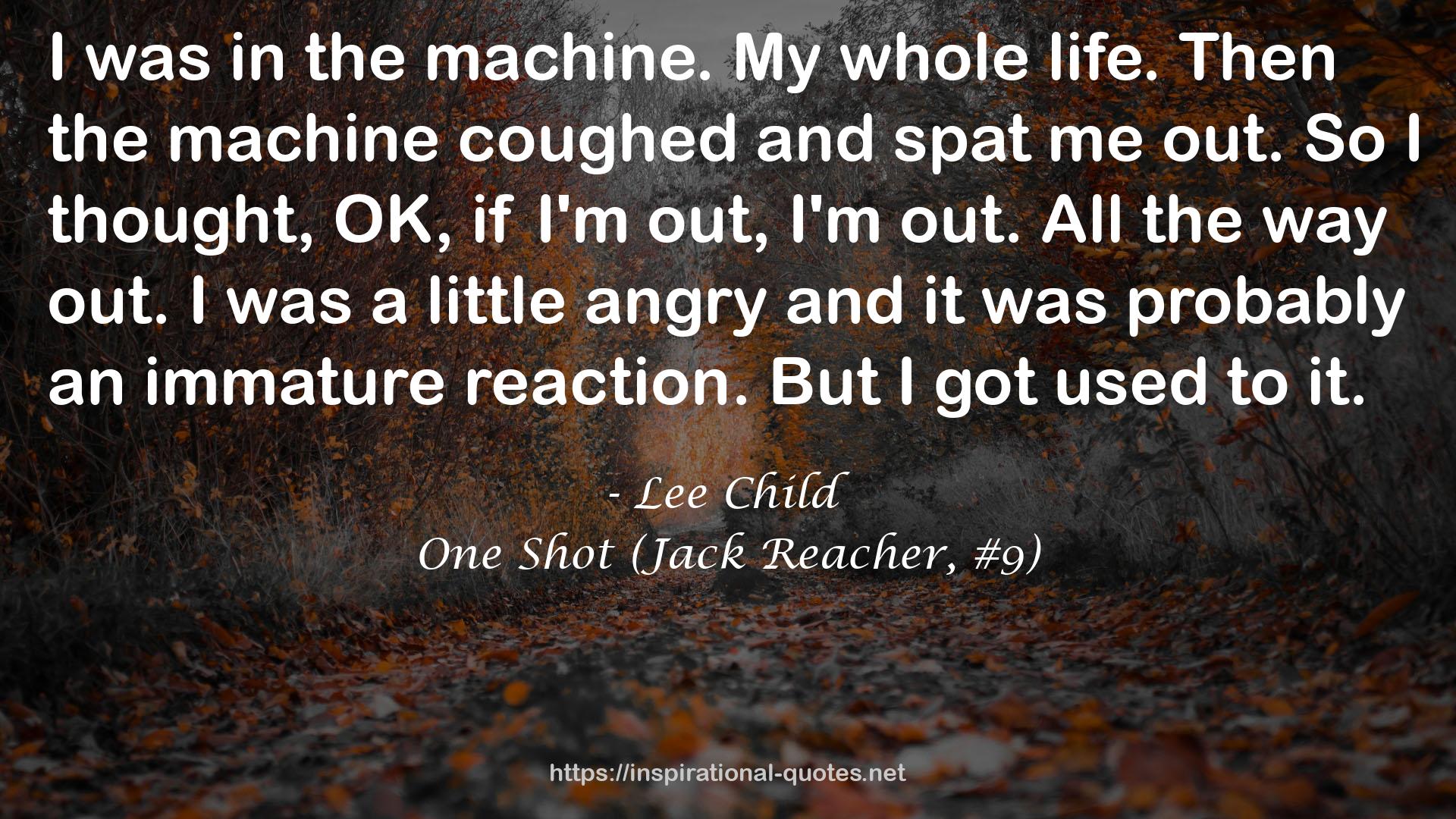 One Shot (Jack Reacher, #9) QUOTES
