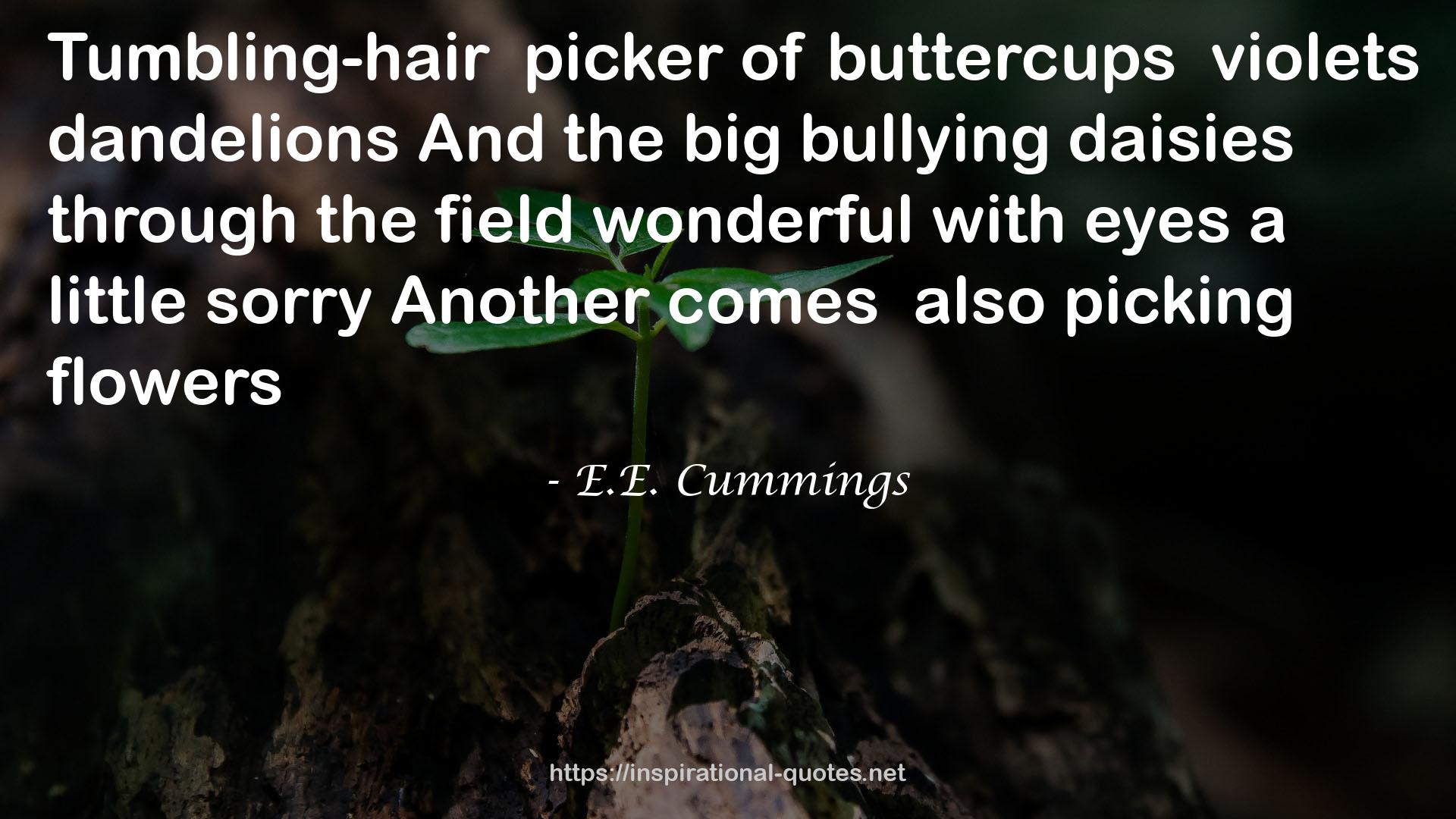 buttercups  QUOTES