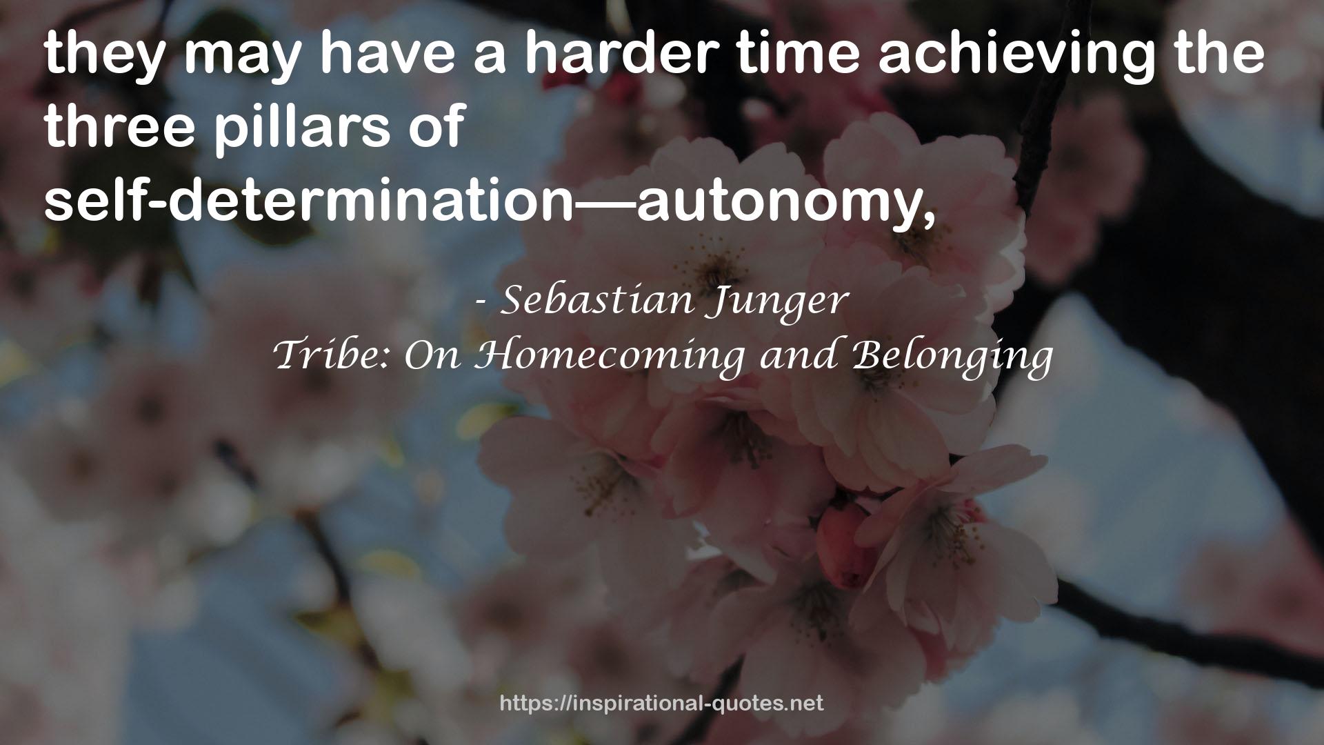 Tribe: On Homecoming and Belonging QUOTES