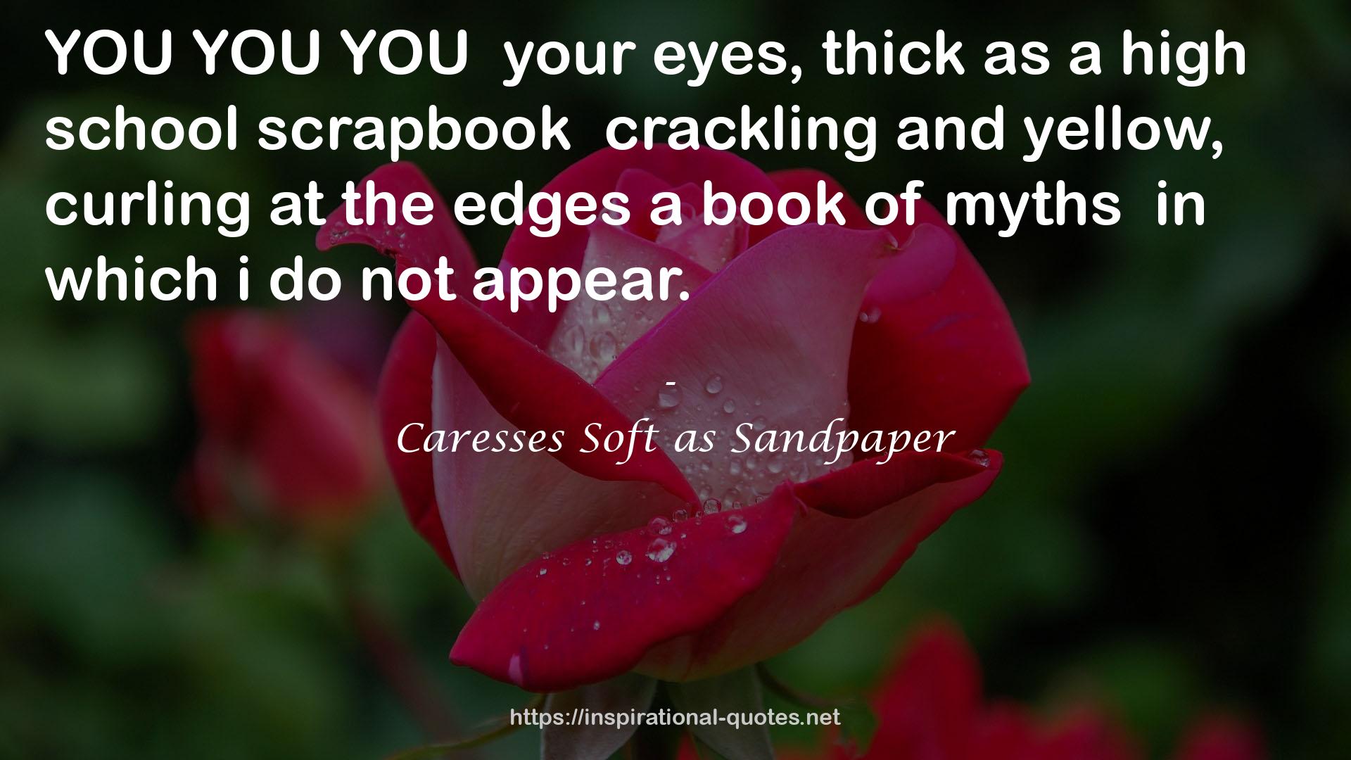 Caresses Soft as Sandpaper QUOTES