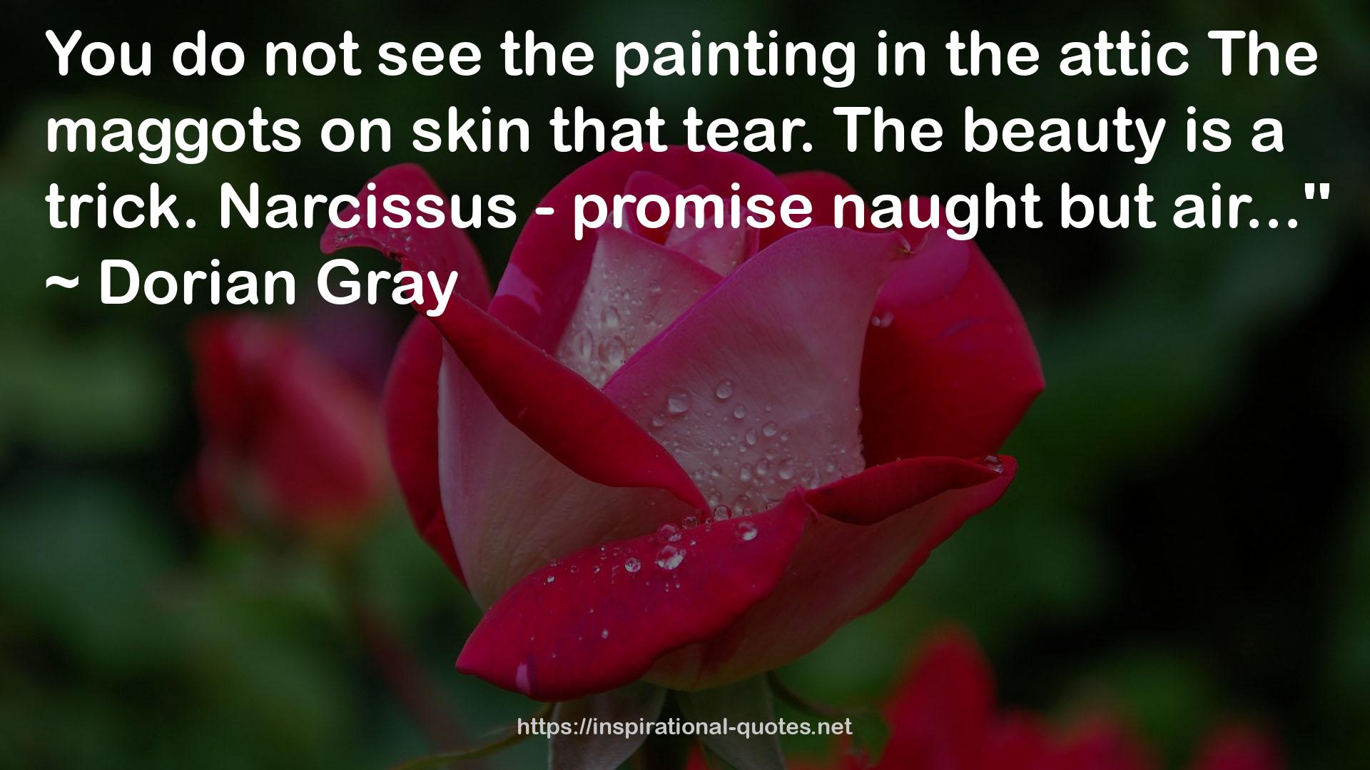 Narcissus - promise naught  QUOTES