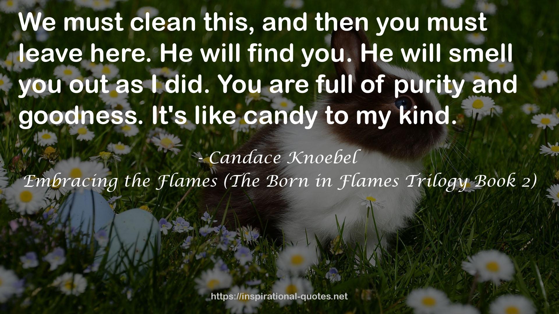 Candace Knoebel QUOTES