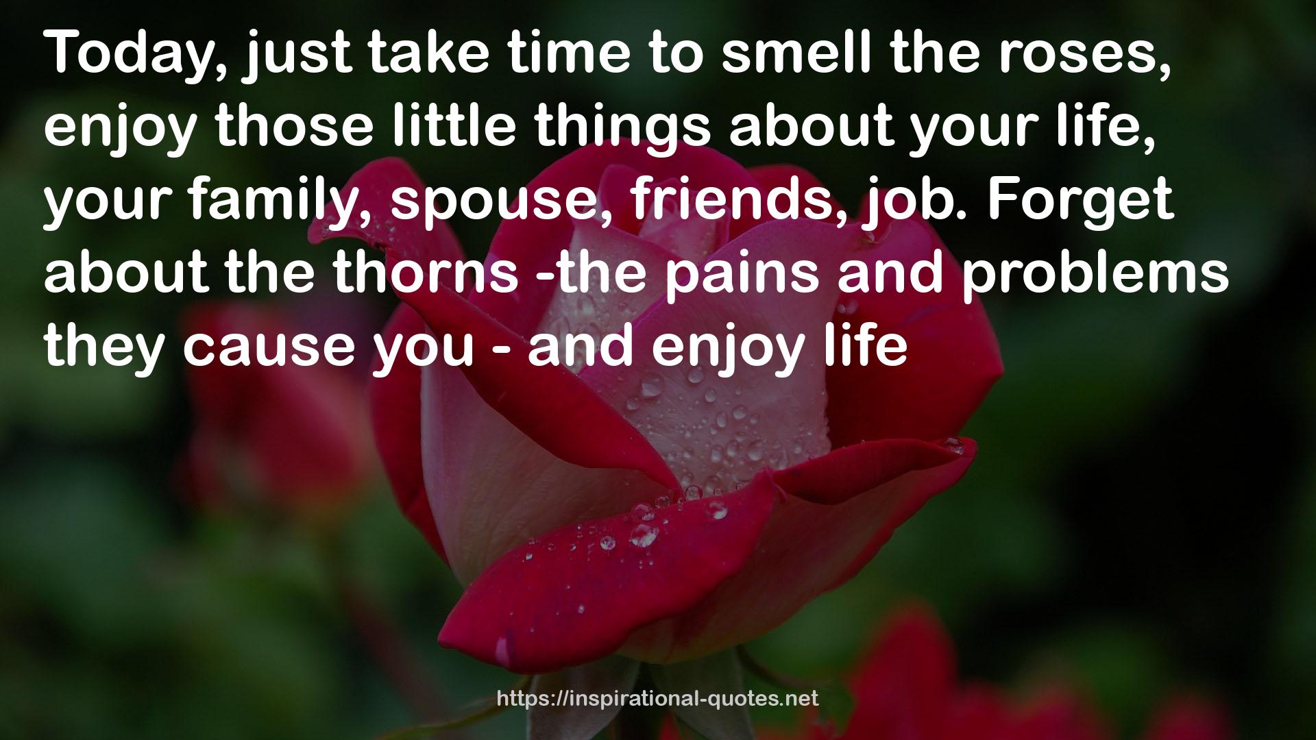those little things  QUOTES