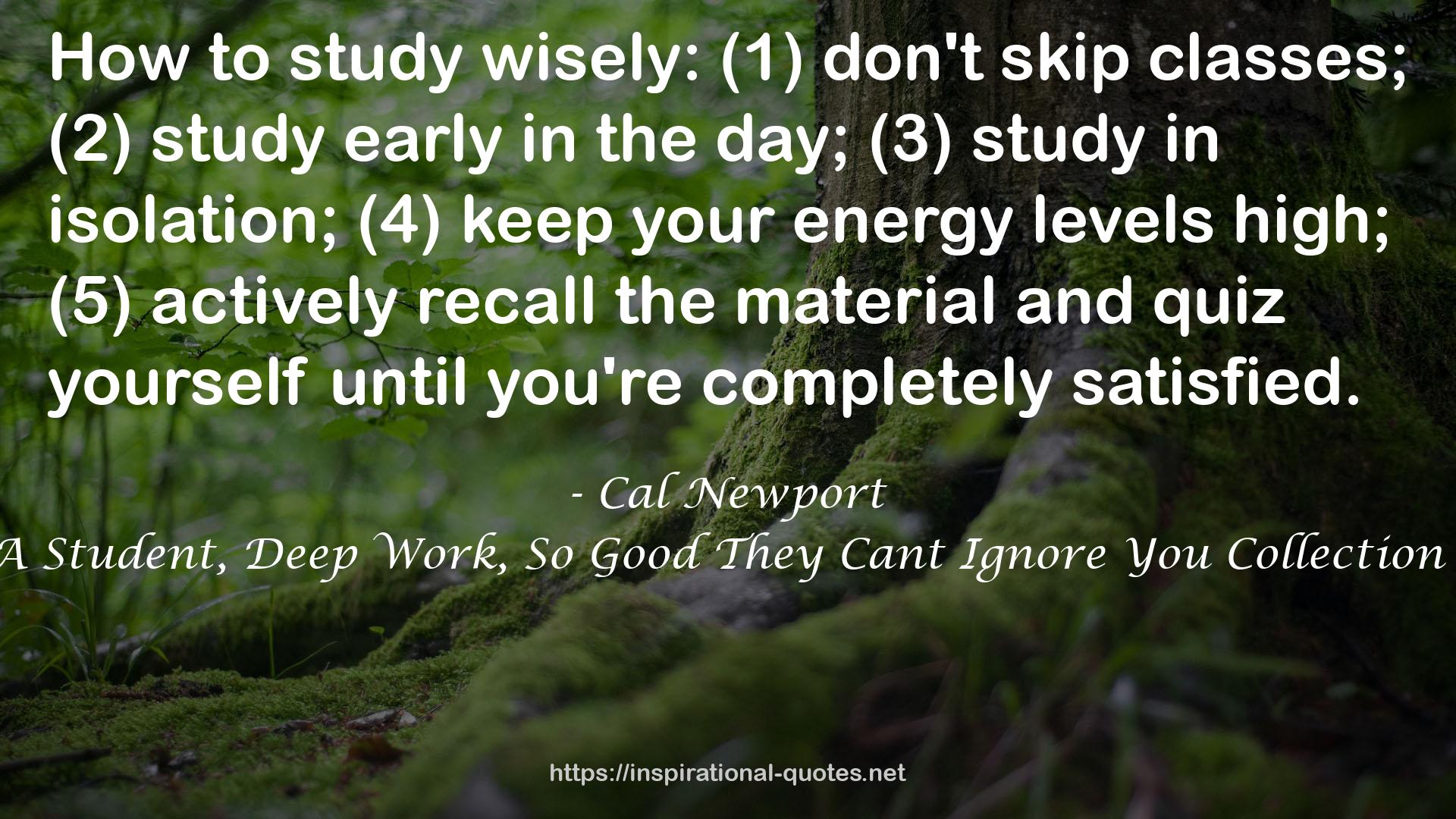 How to Become a Straight-A Student, Deep Work, So Good They Cant Ignore You Collection 3 Books Set by Cal Newport QUOTES