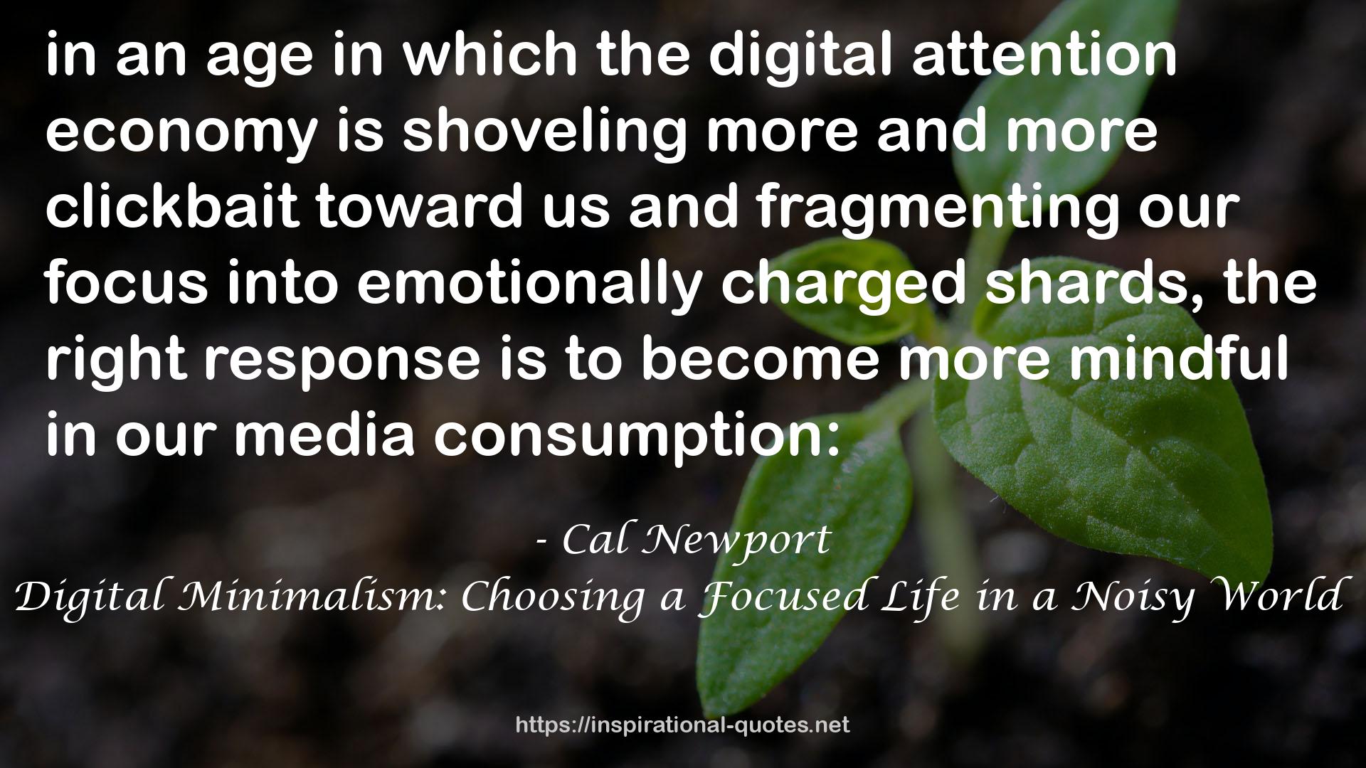 Digital Minimalism: Choosing a Focused Life in a Noisy World QUOTES