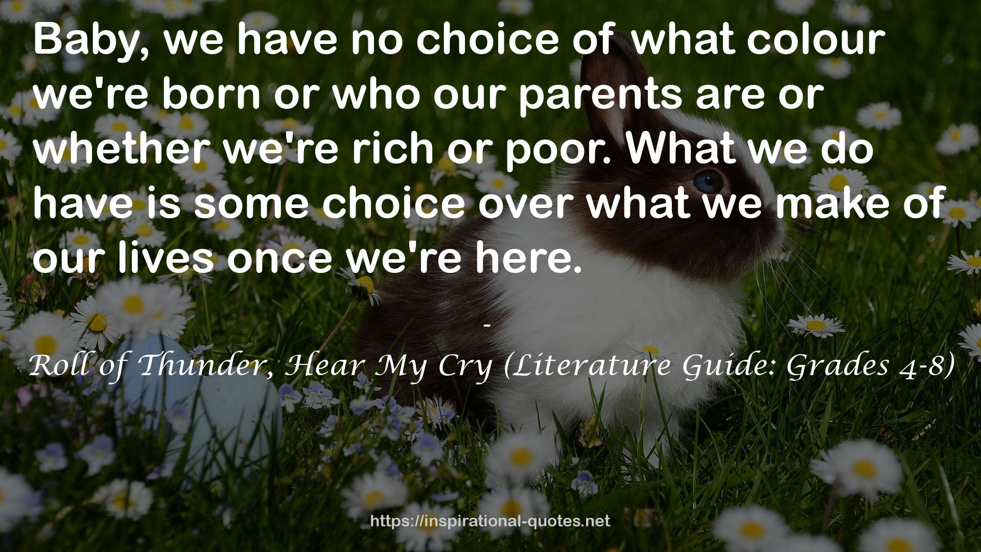 Roll of Thunder, Hear My Cry (Literature Guide: Grades 4-8) QUOTES