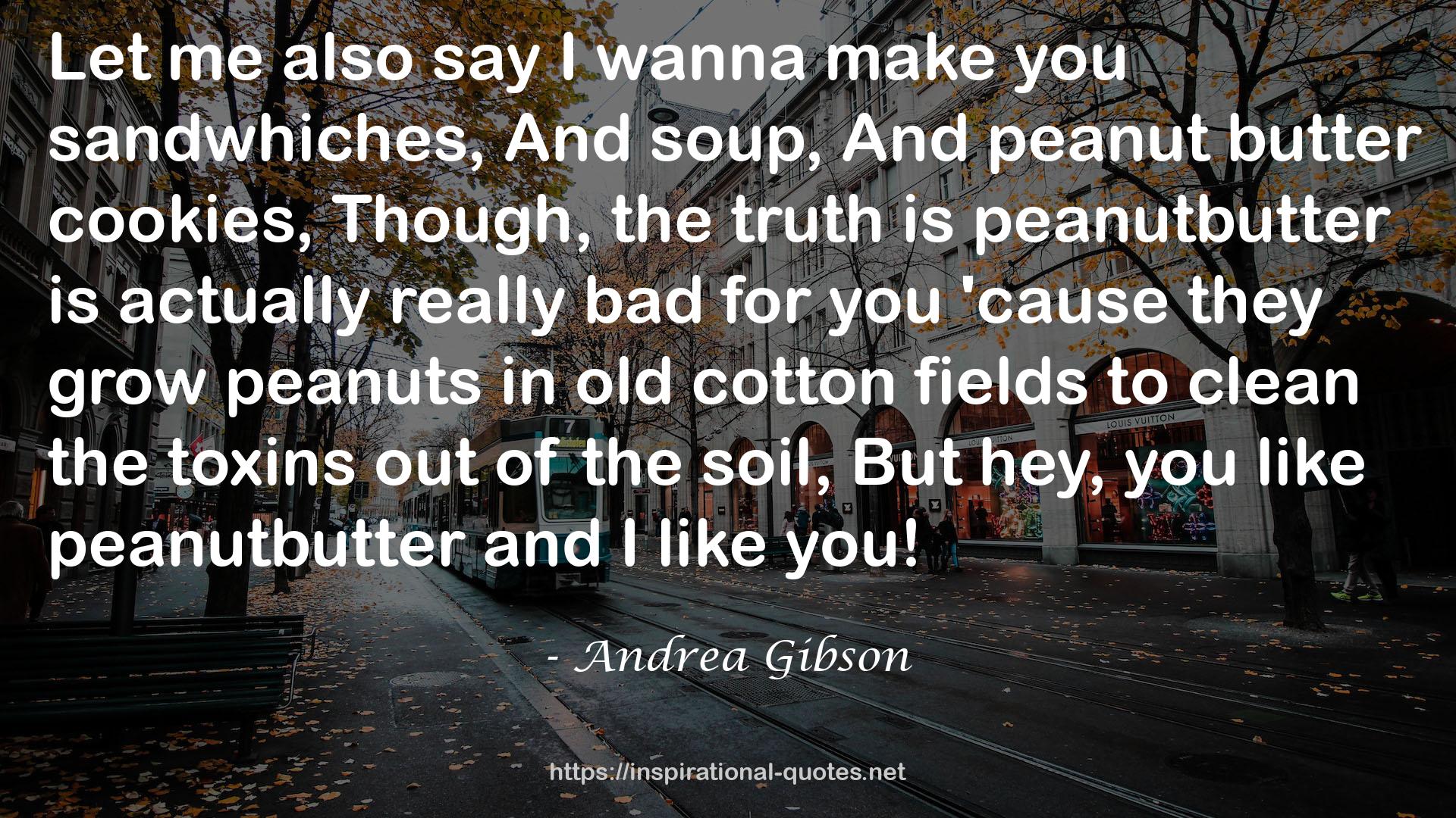 old cotton fields  QUOTES