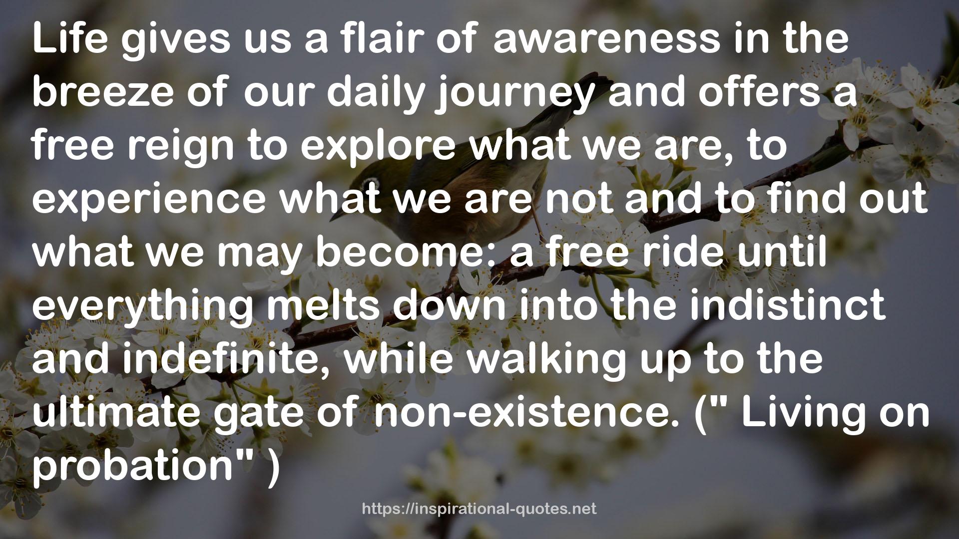 our daily journey  QUOTES