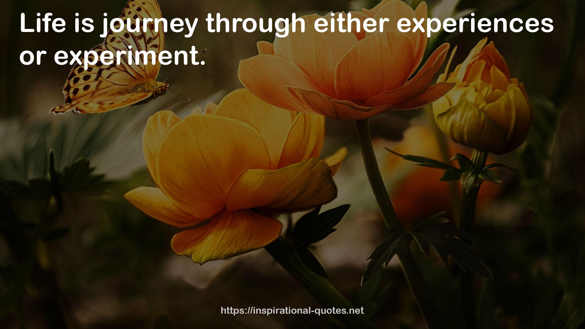 either experiences  QUOTES