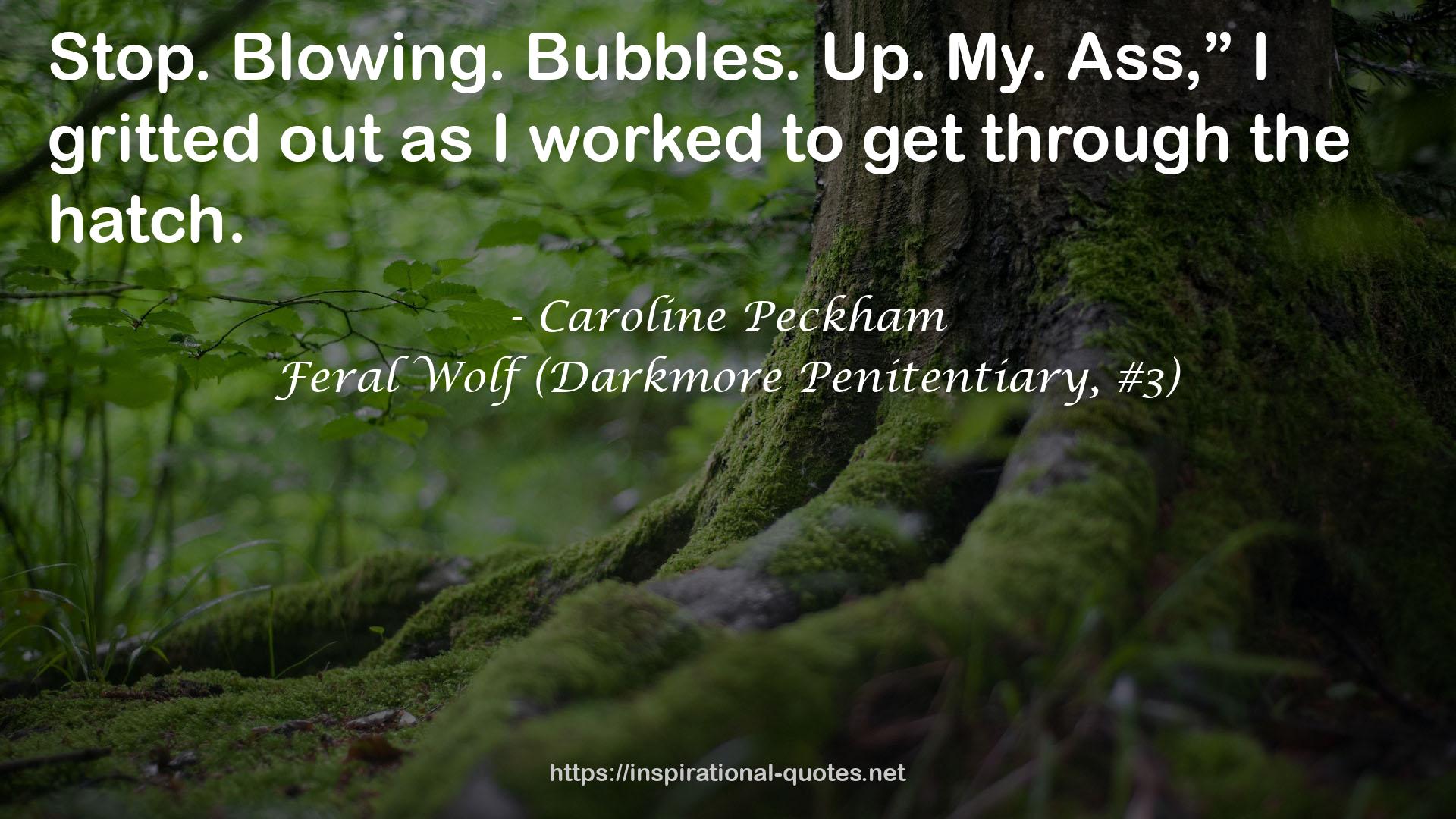 Feral Wolf (Darkmore Penitentiary, #3) QUOTES