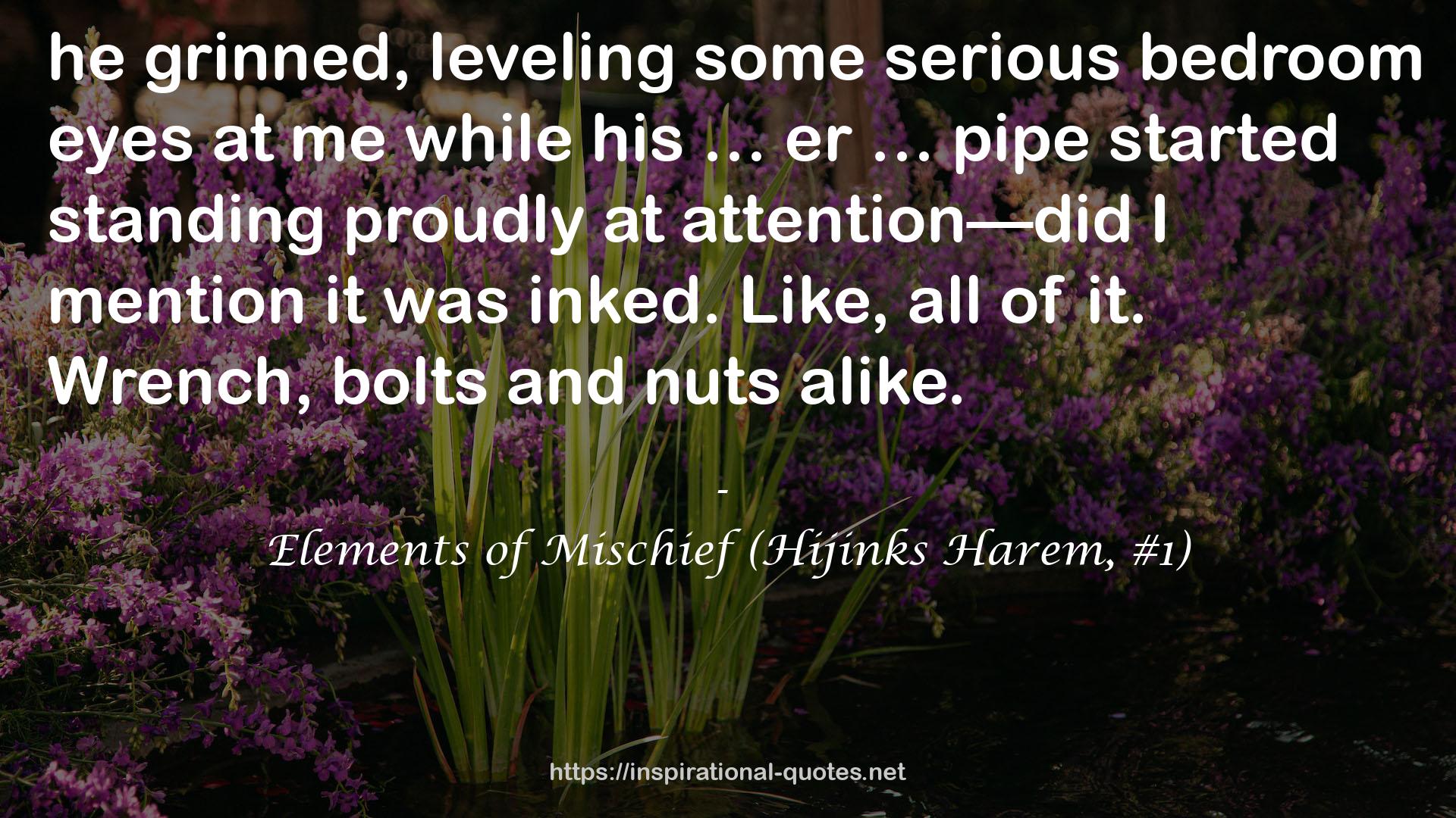 Elements of Mischief (Hijinks Harem, #1) QUOTES
