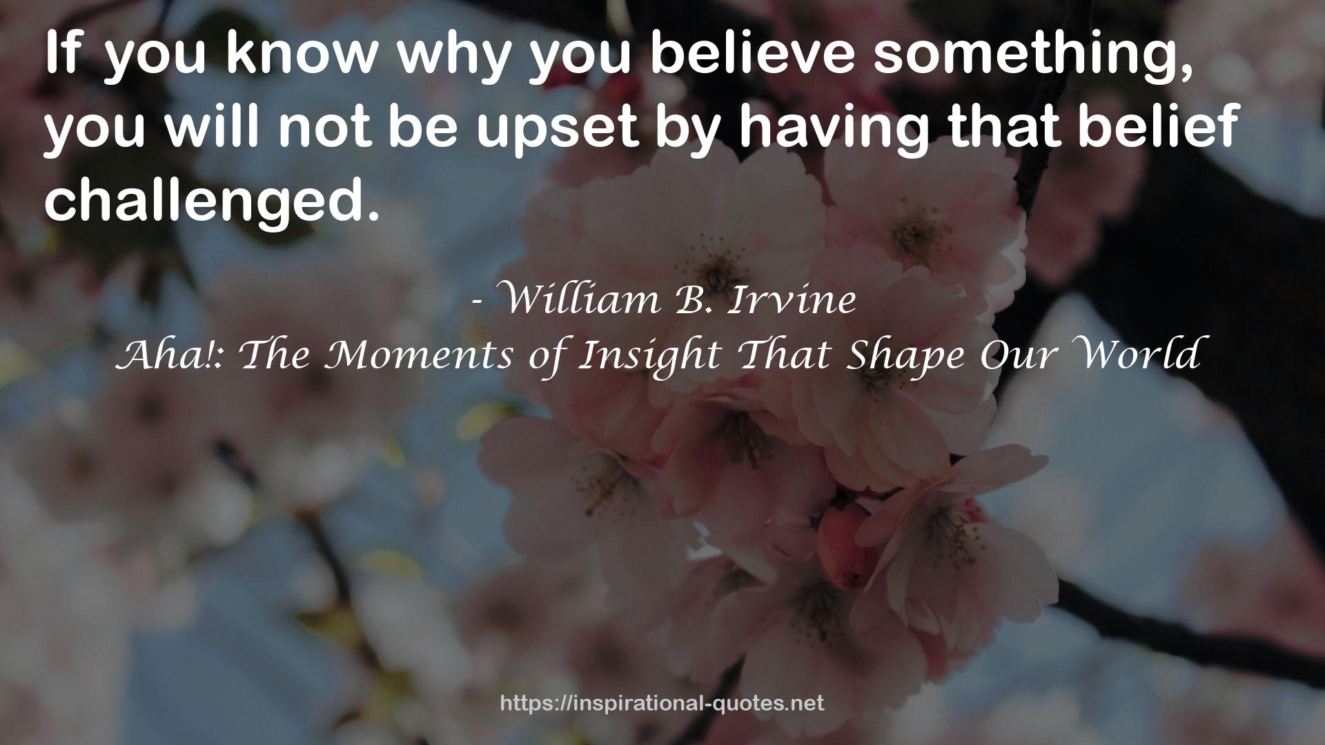 Aha!: The Moments of Insight That Shape Our World QUOTES