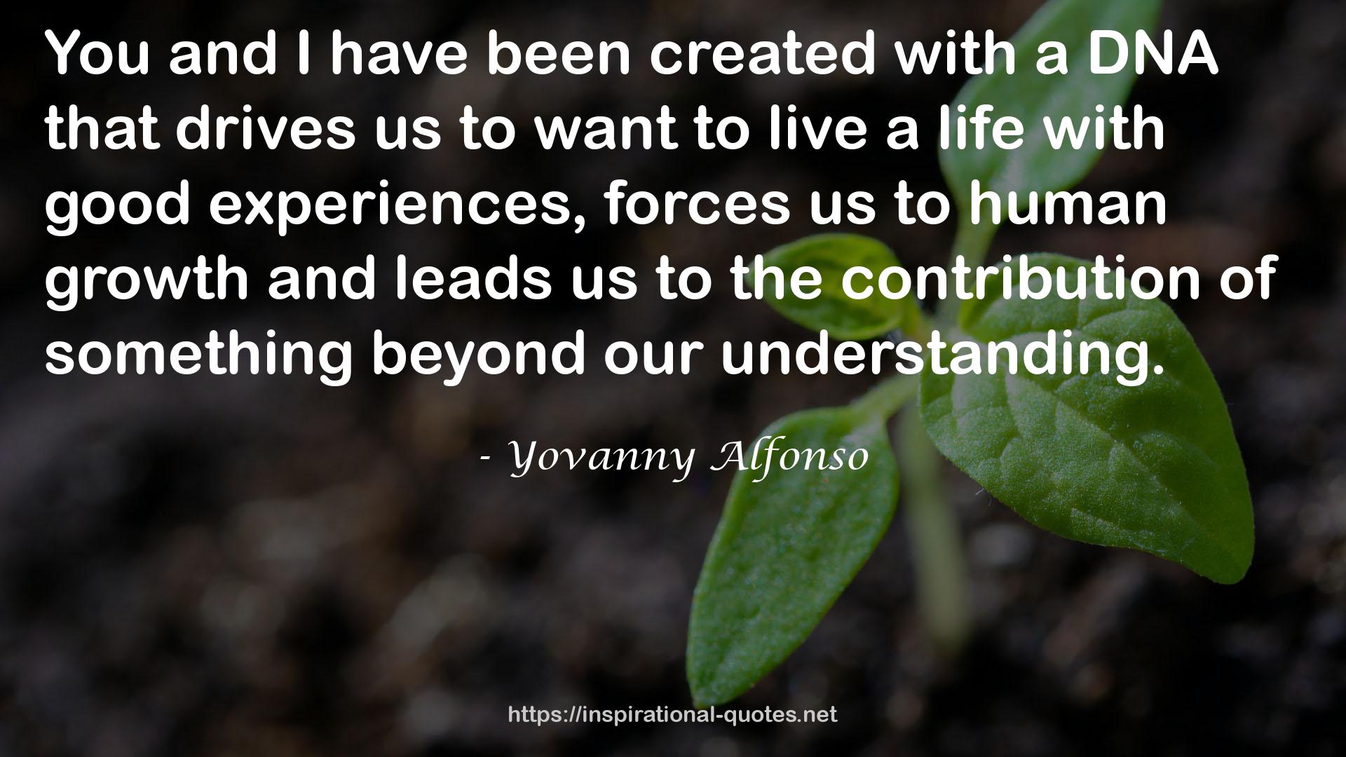 Yovanny Alfonso QUOTES
