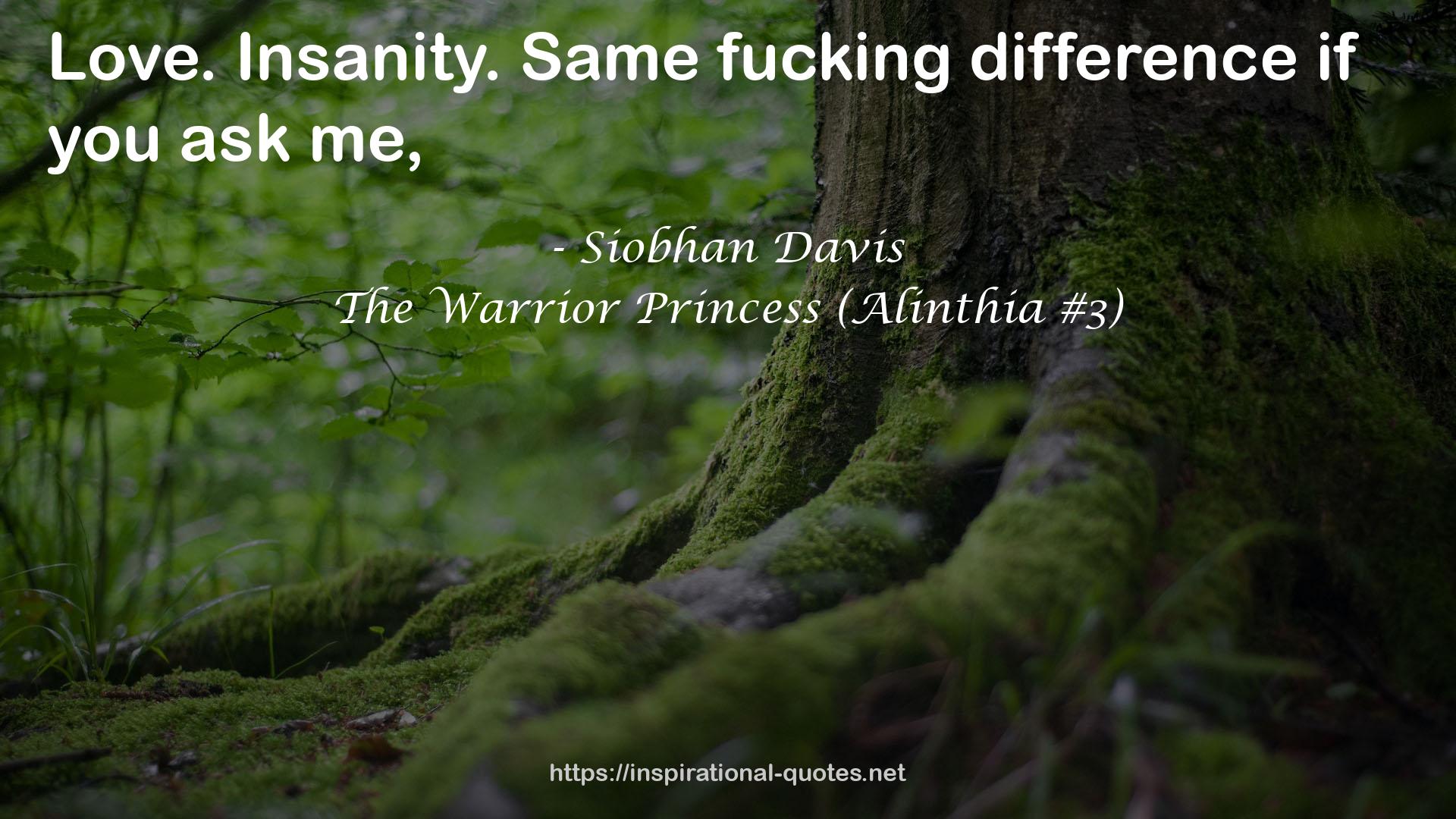 The Warrior Princess (Alinthia #3) QUOTES