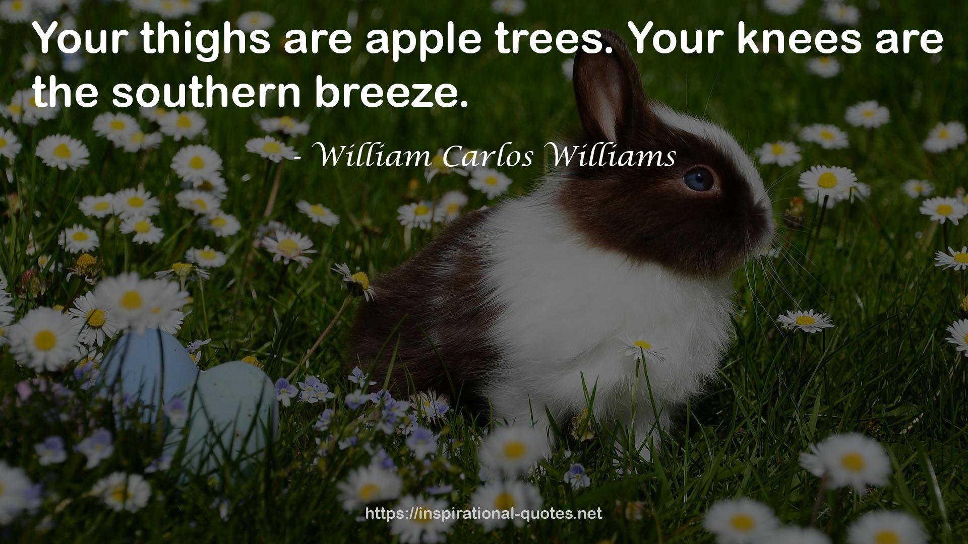 William Carlos Williams QUOTES