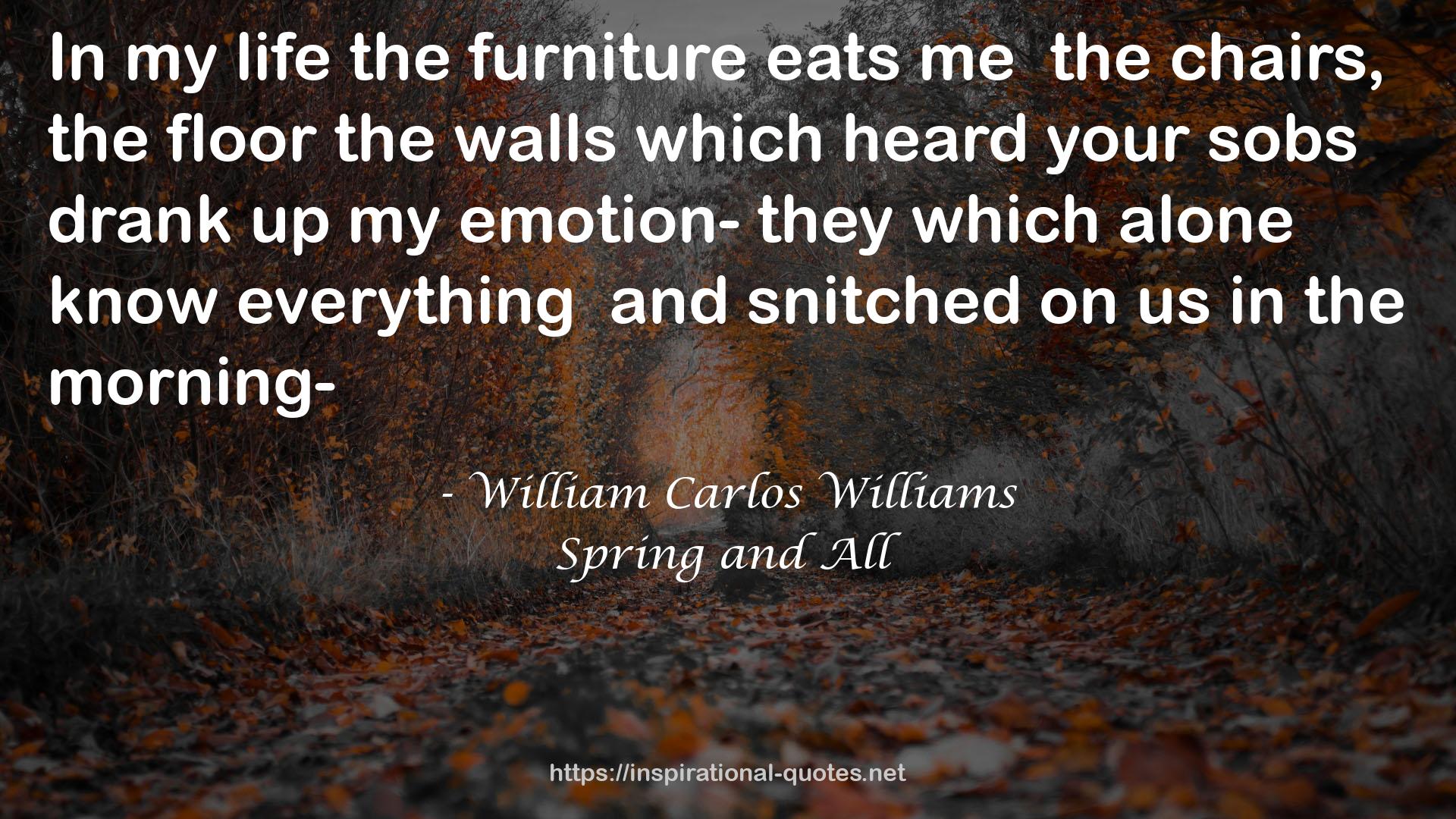 William Carlos Williams QUOTES