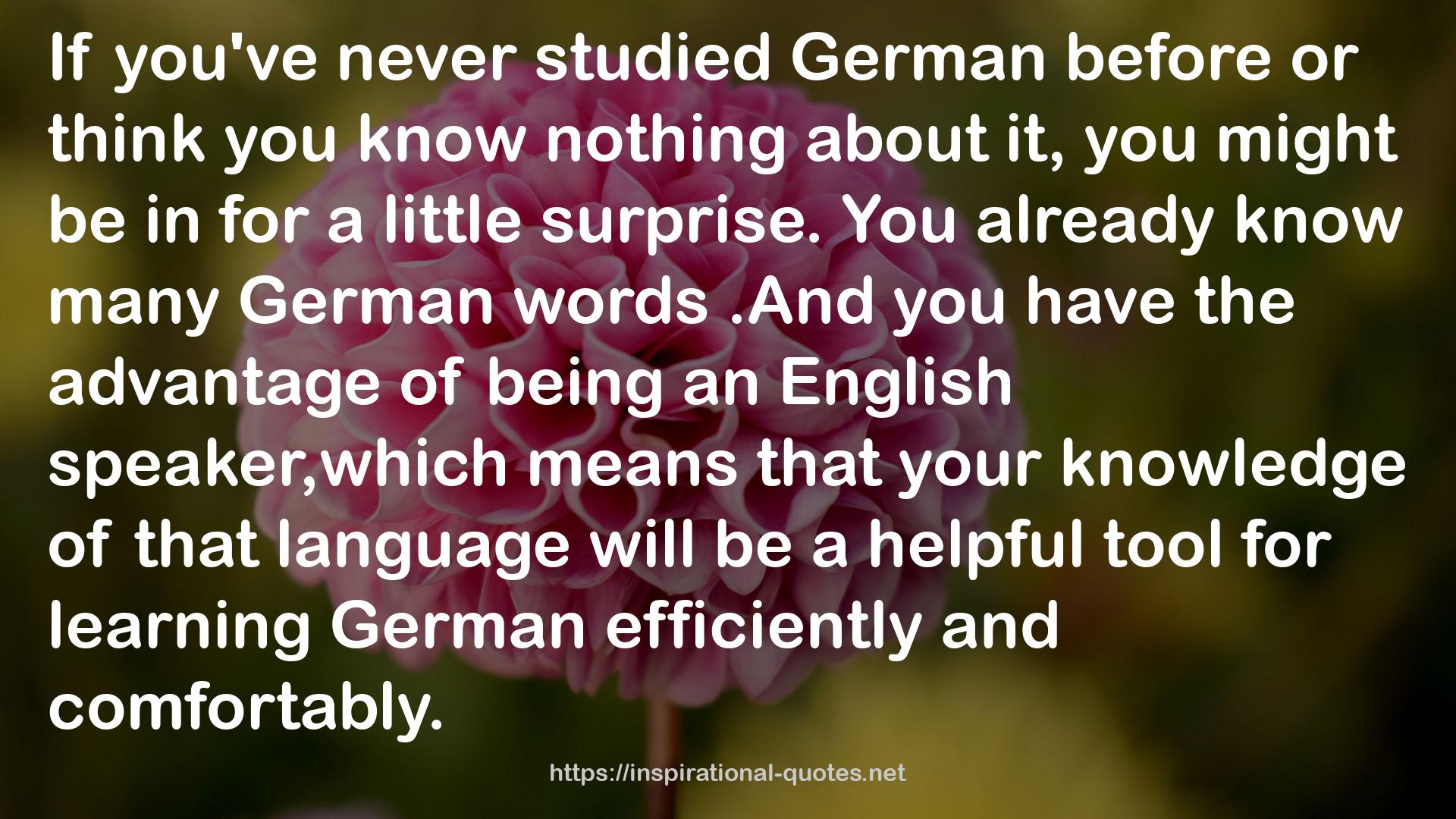 The Everything Learning German Book: Speak, Write and Understand Basic German in No Time QUOTES