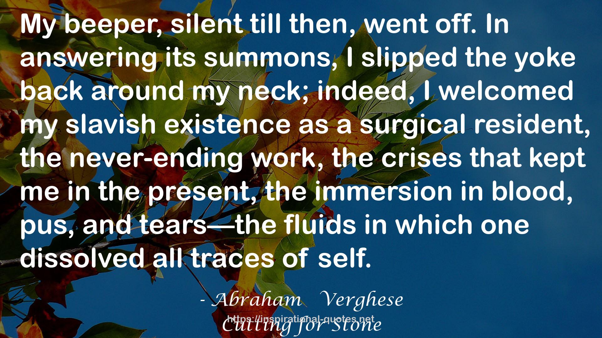 Abraham   Verghese QUOTES