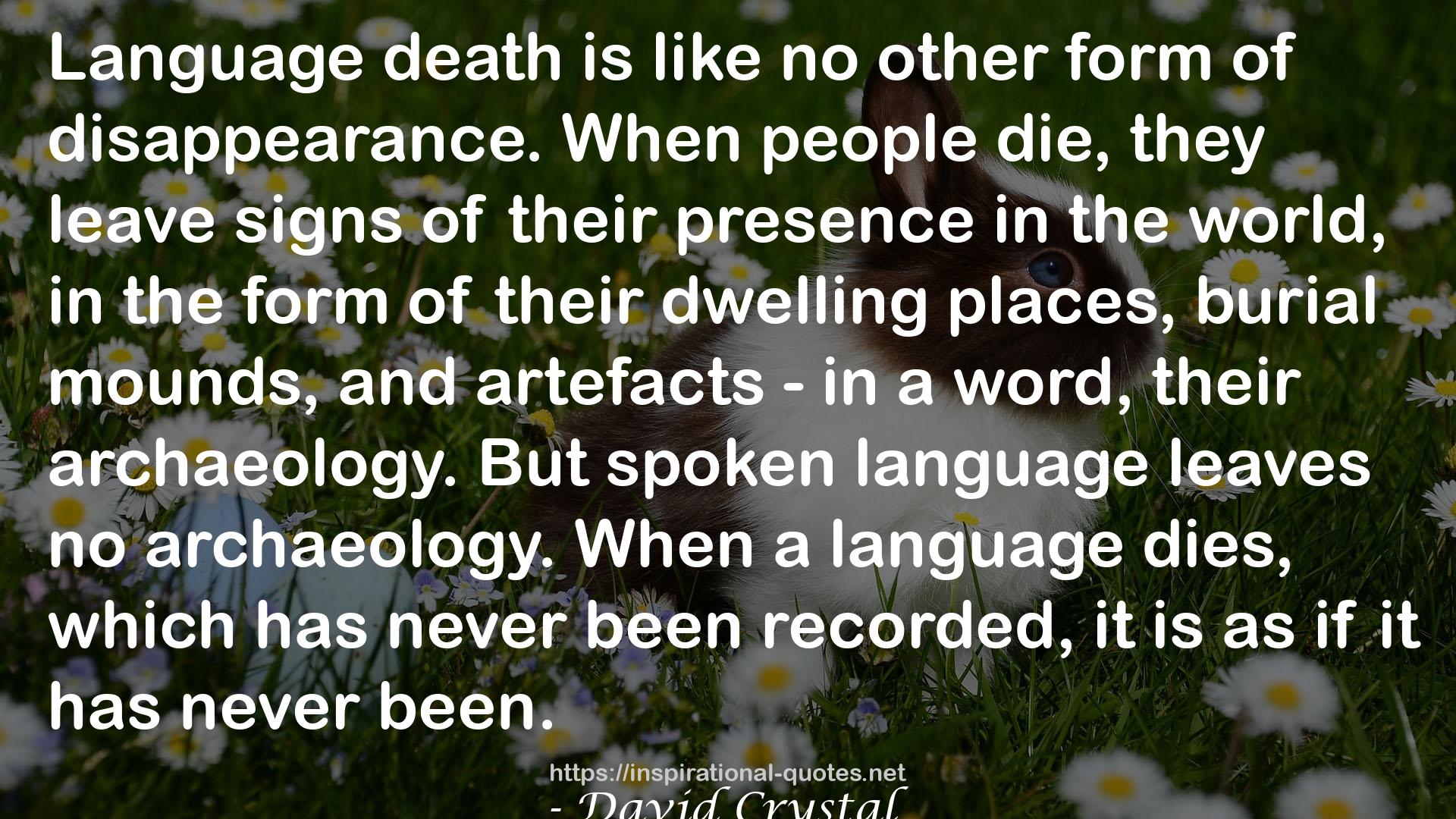 How Language Works: How Babies Babble, Words Change Meaning, and Languages Live or Die QUOTES