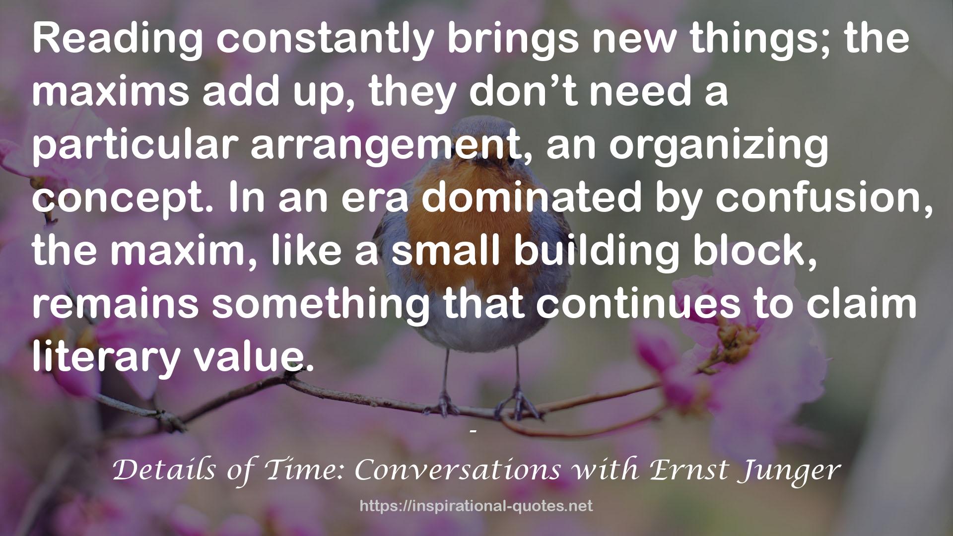 Details of Time: Conversations with Ernst Junger QUOTES