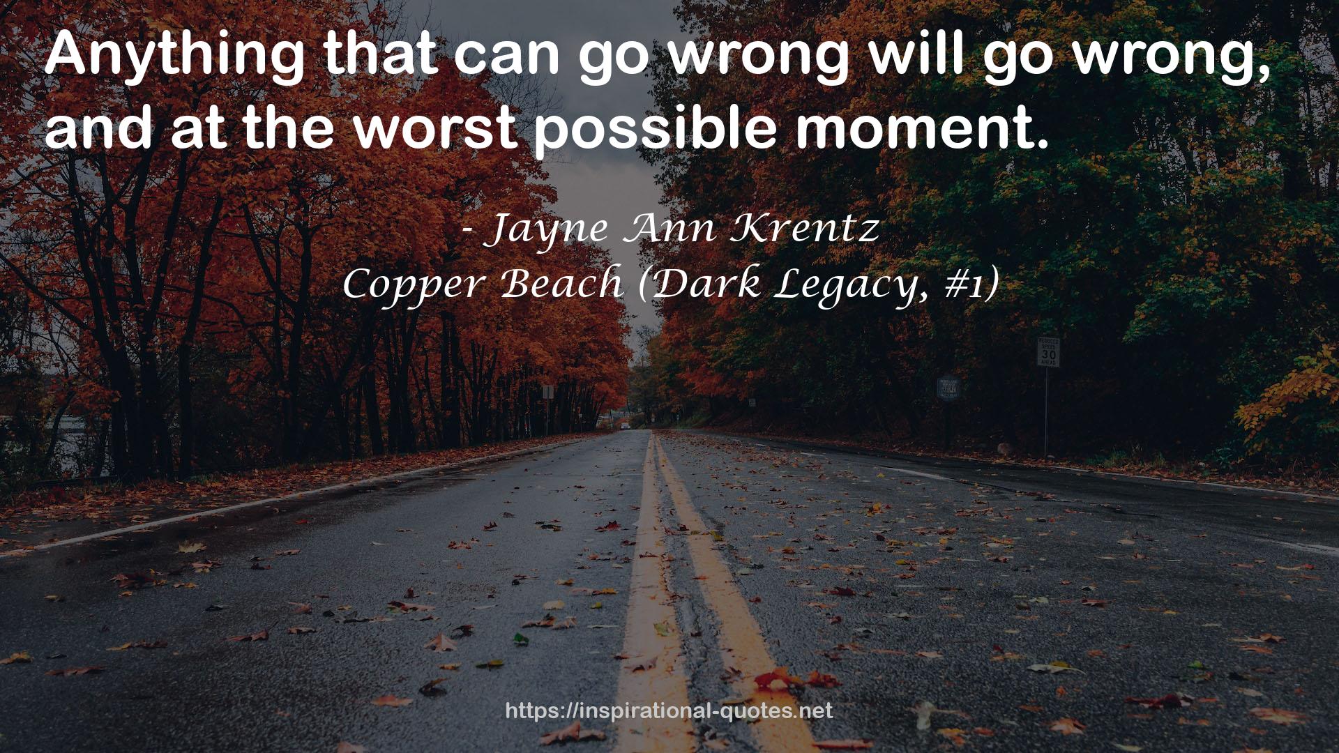 Copper Beach (Dark Legacy, #1) QUOTES