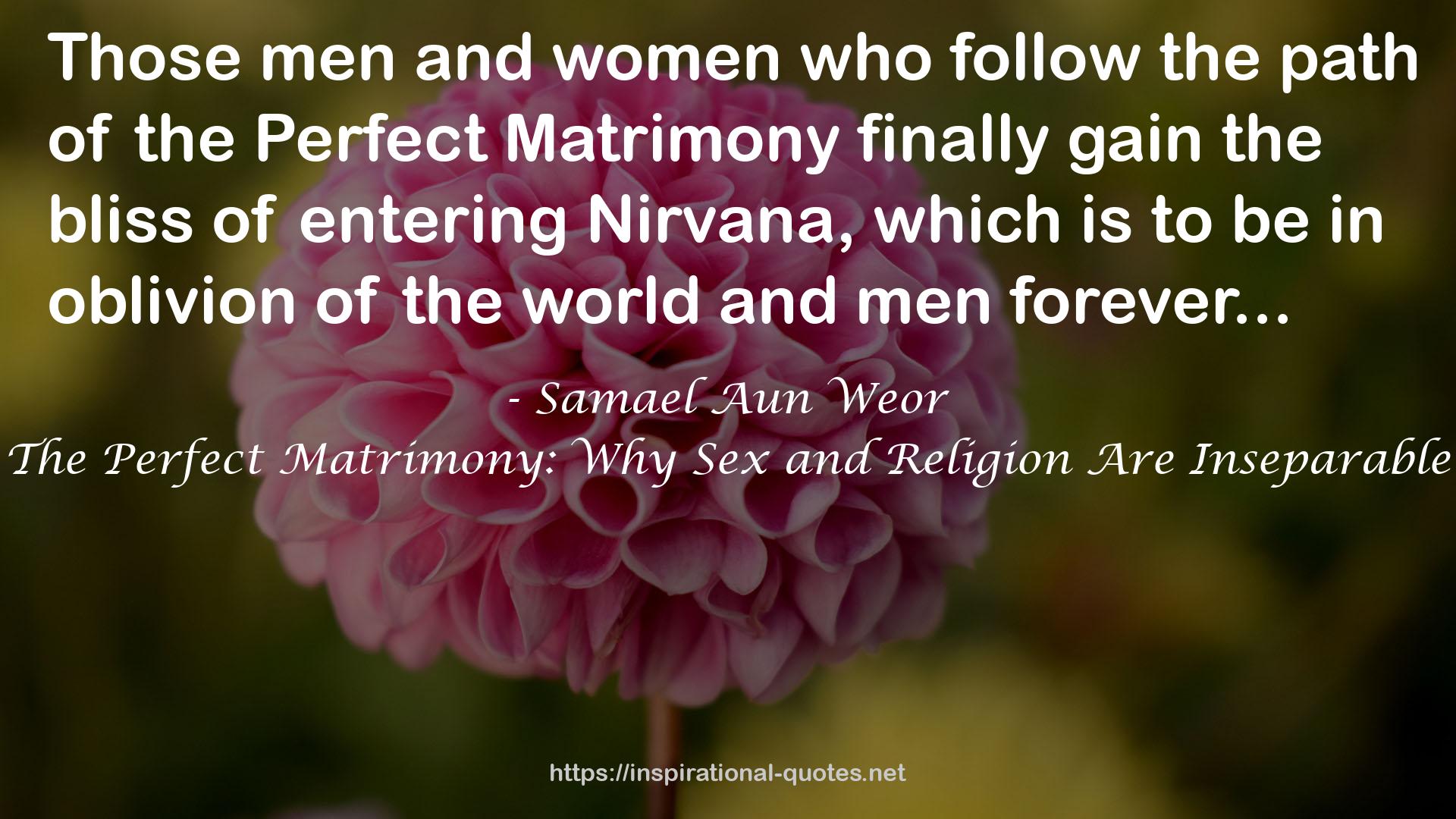 The Perfect Matrimony: Why Sex and Religion Are Inseparable QUOTES