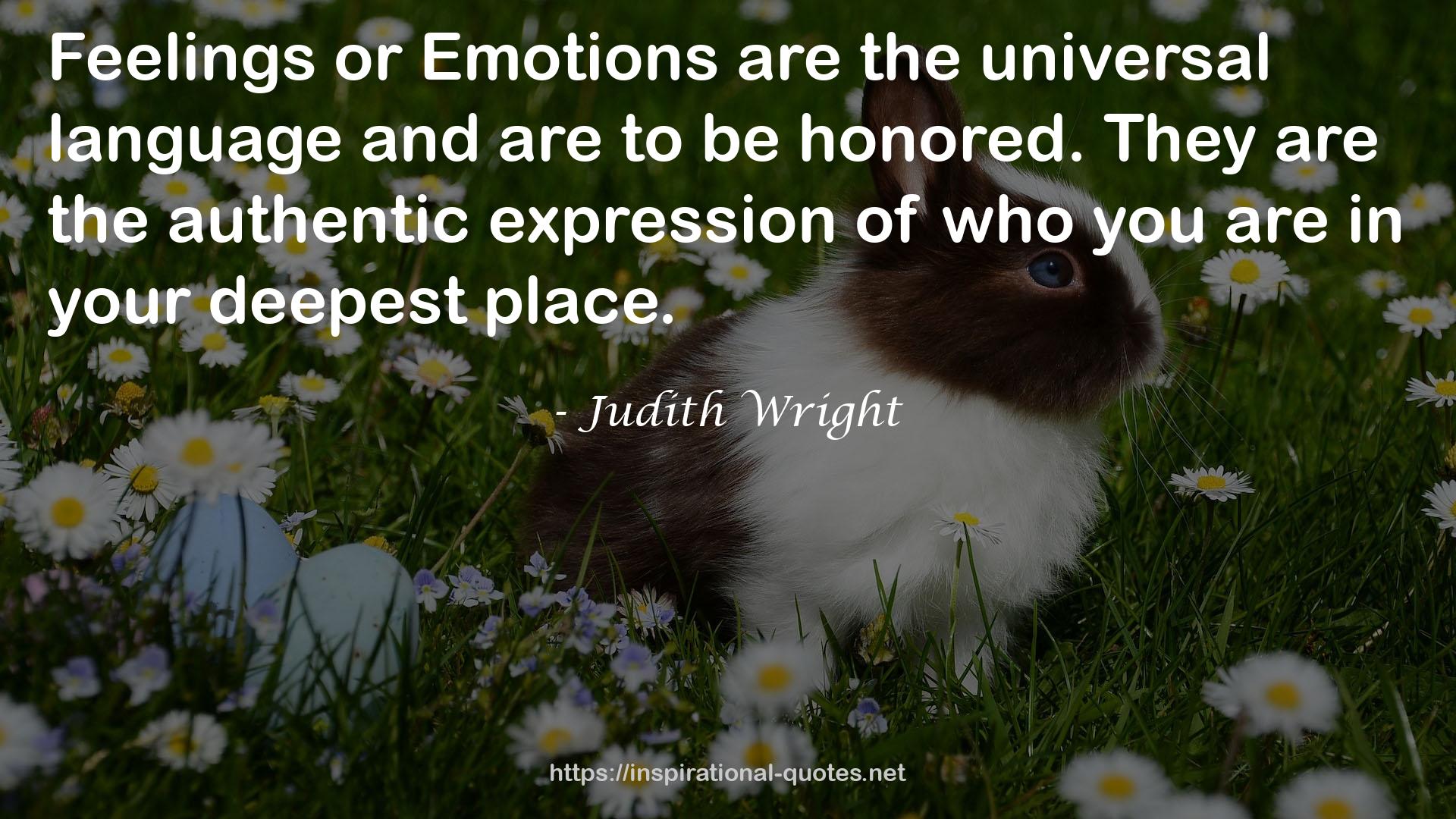 Judith Wright QUOTES