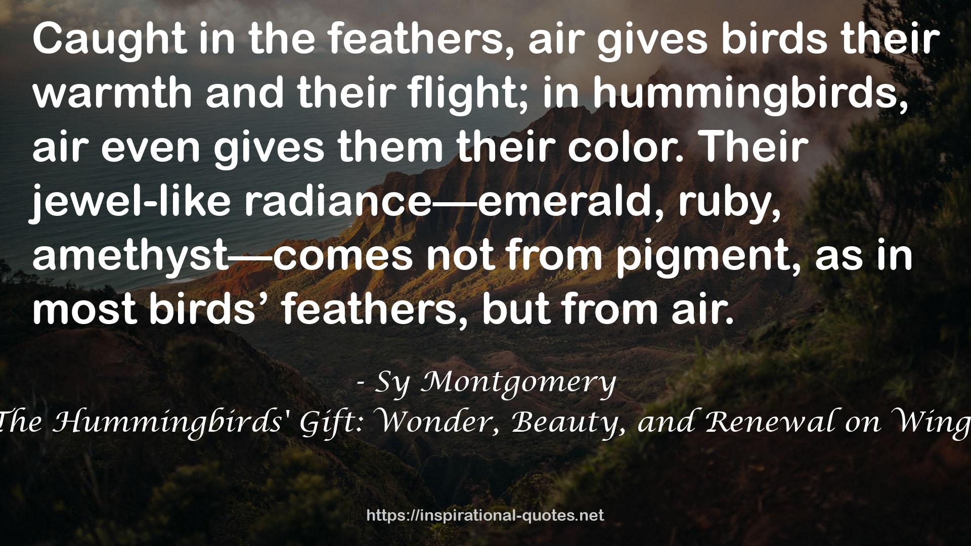 The Hummingbirds' Gift: Wonder, Beauty, and Renewal on Wings QUOTES