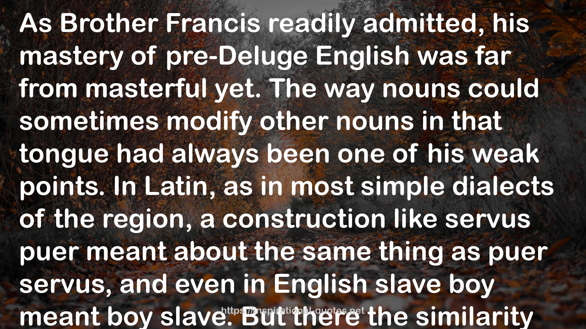 Brother Francis  QUOTES