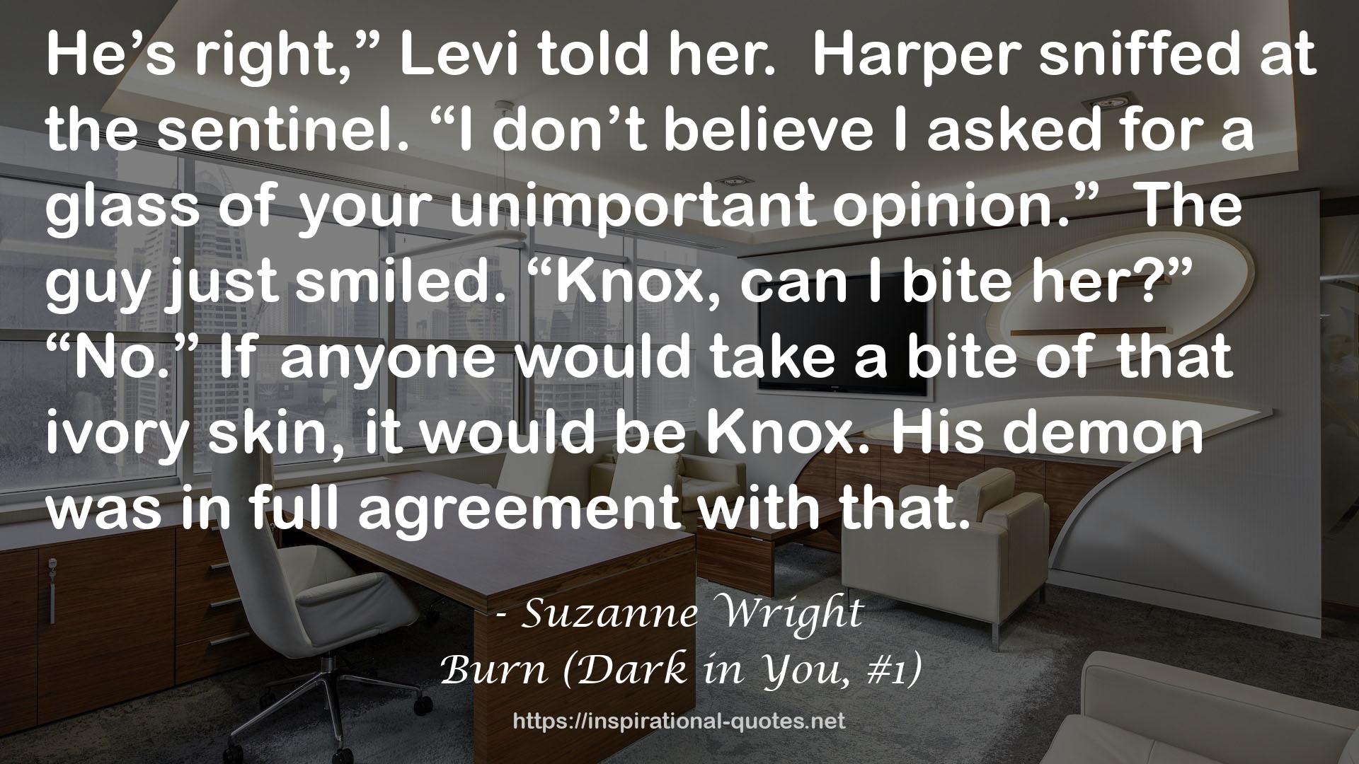 Burn (Dark in You, #1) QUOTES