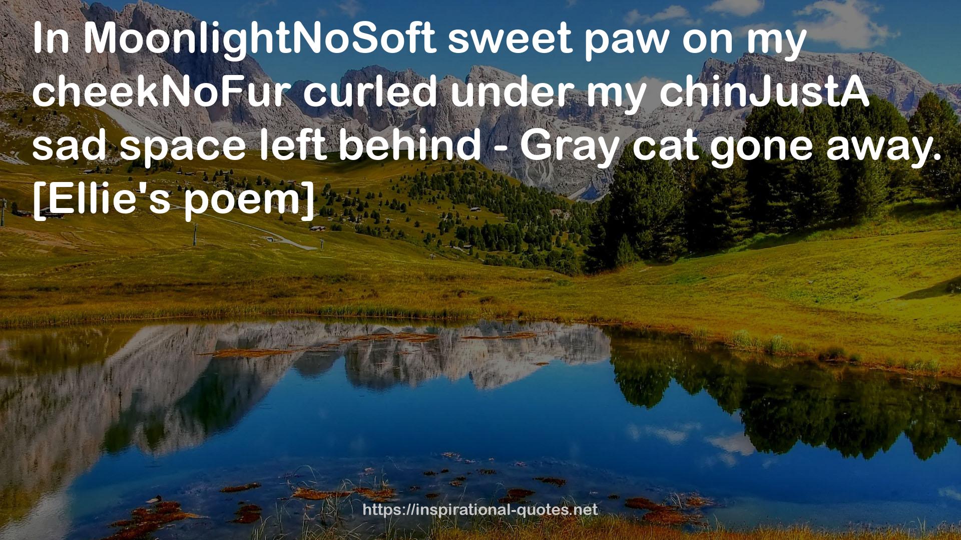 MoonlightNoSoft sweet paw  QUOTES