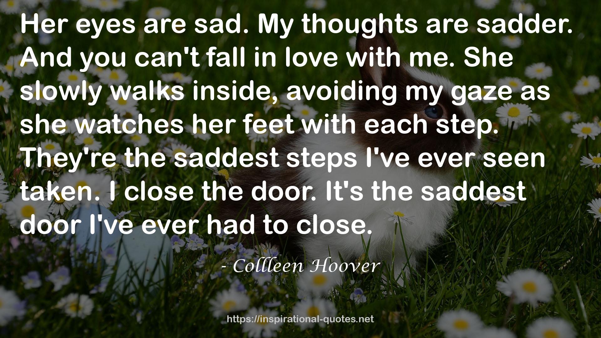 Collleen Hoover QUOTES