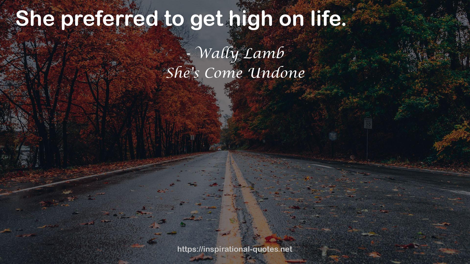 Wally Lamb QUOTES