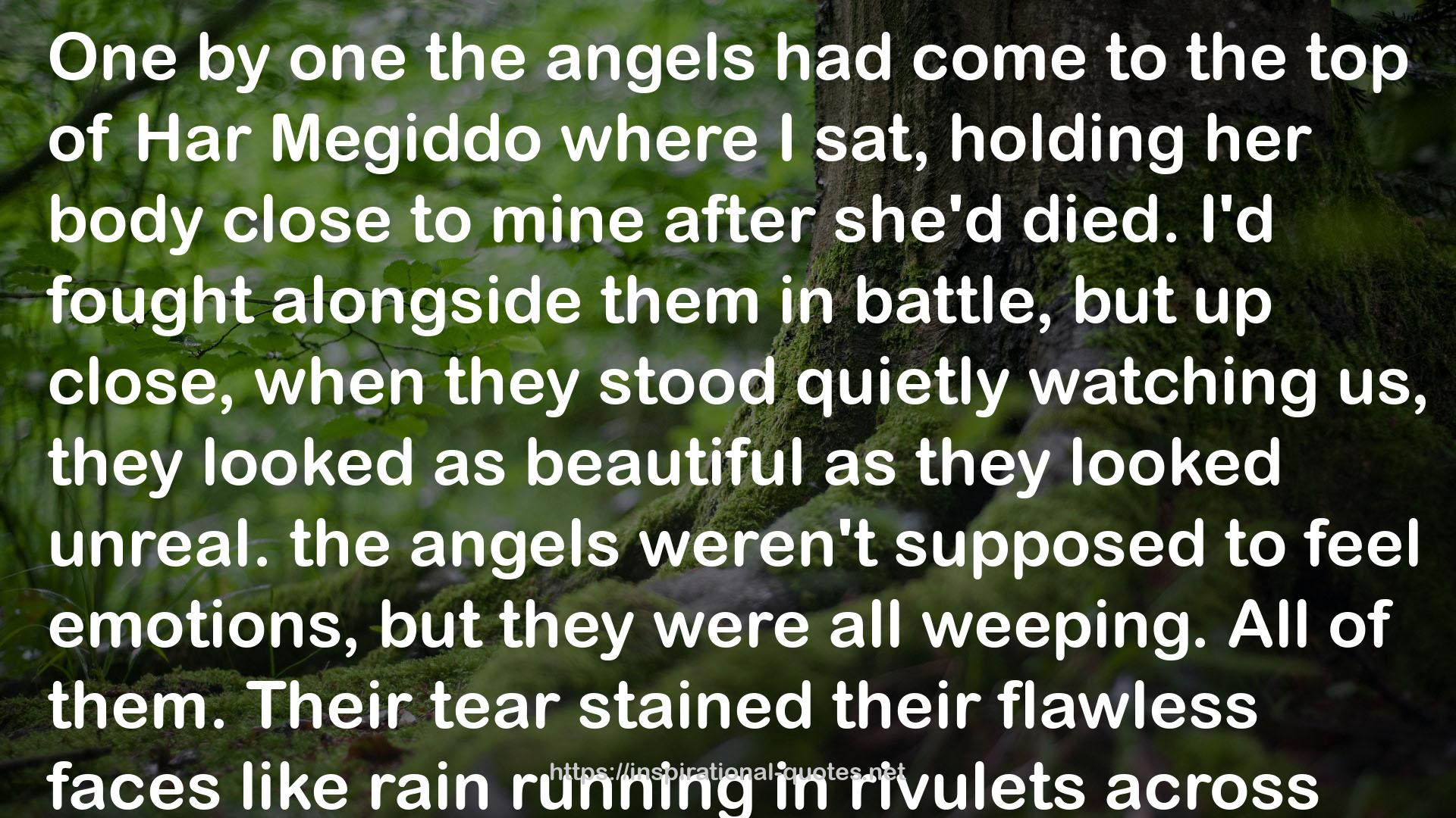 Shadows in the Silence (Angelfire, #3) QUOTES