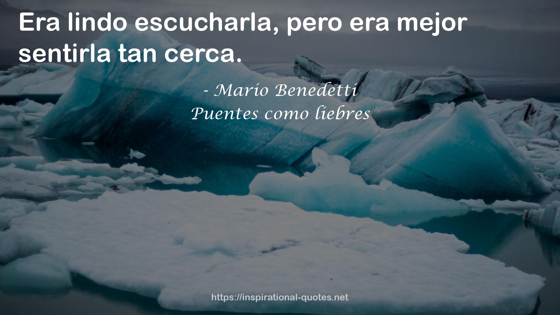 Puentes como liebres QUOTES