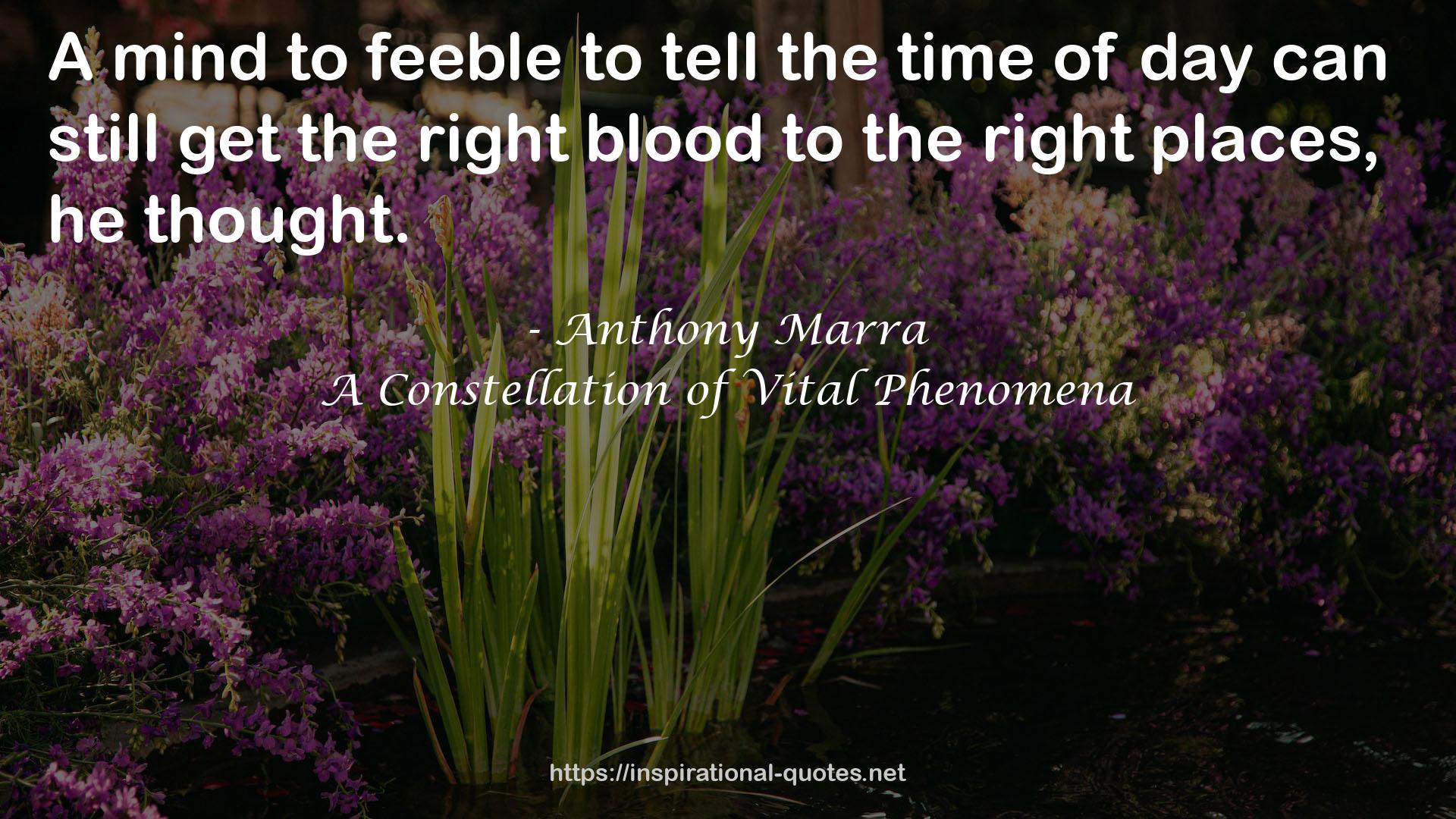 Anthony Marra QUOTES