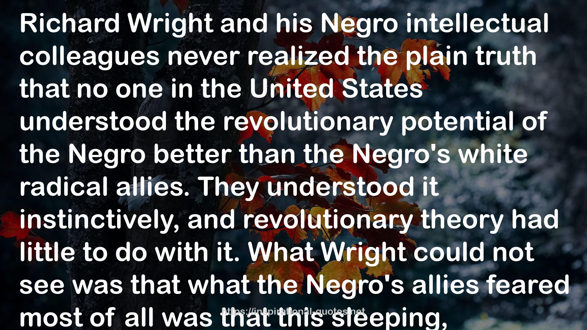 the American Negro  QUOTES