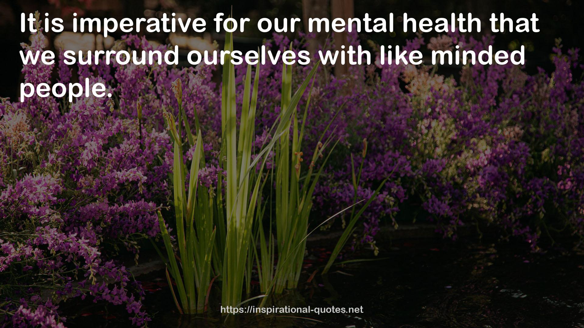 our mental health  QUOTES