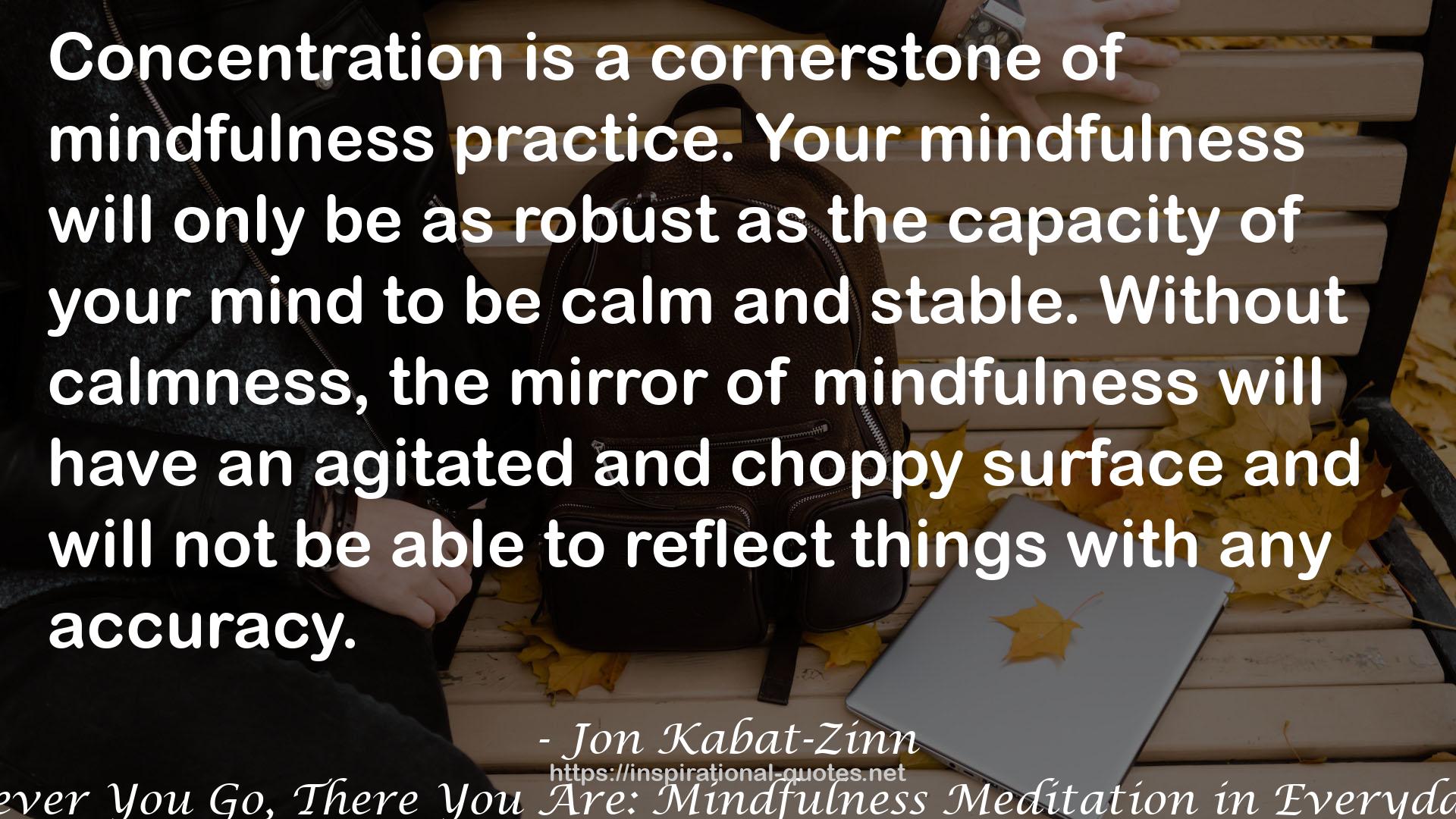 Your mindfulness  QUOTES