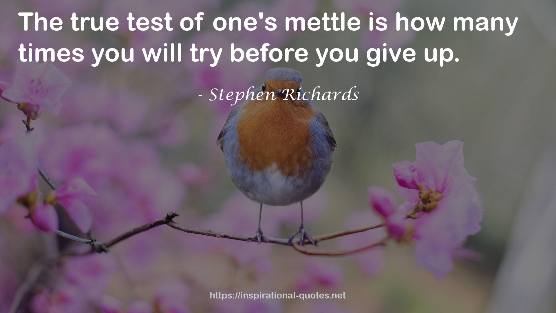 mettle  QUOTES