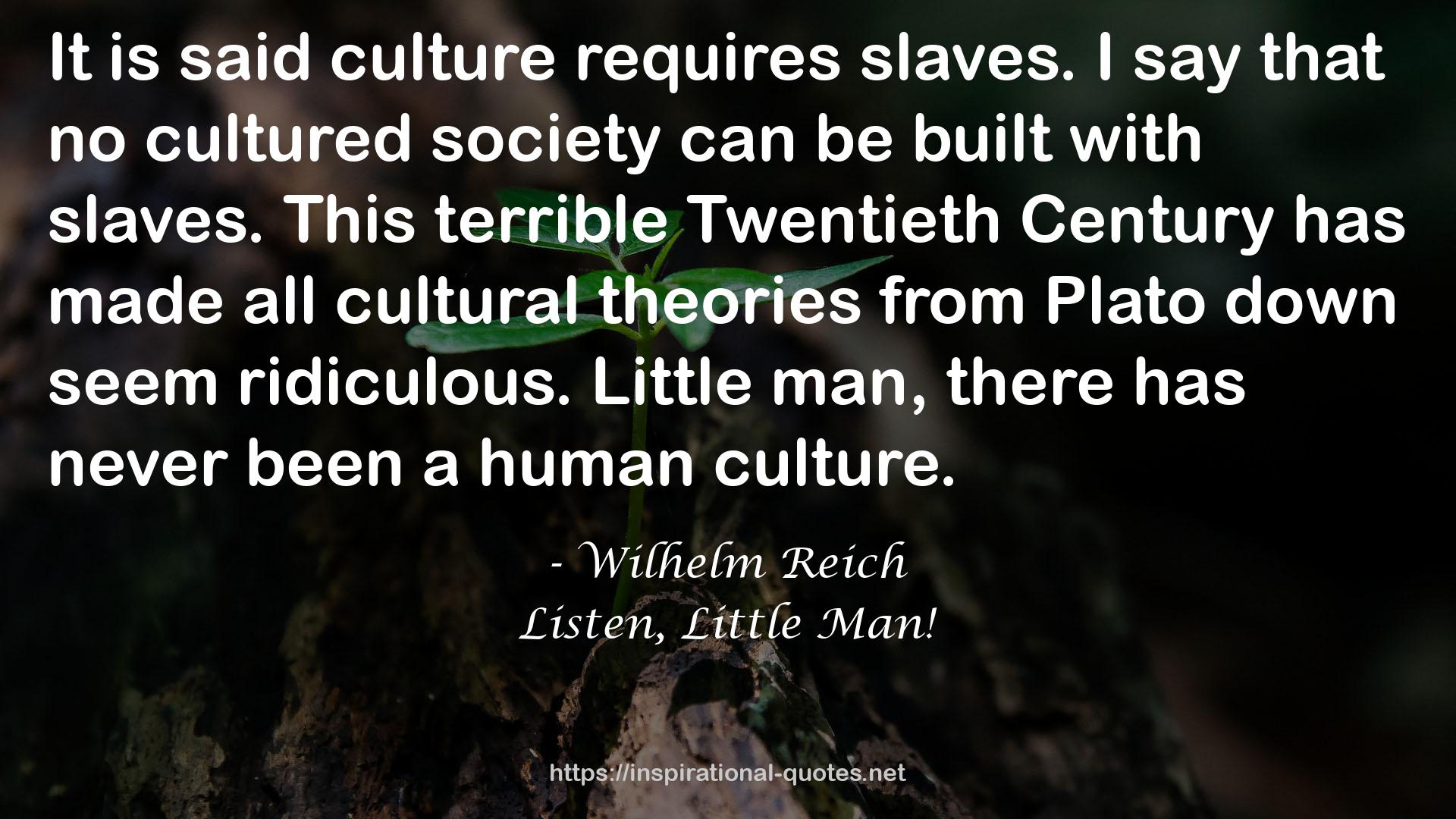 all cultural theories  QUOTES