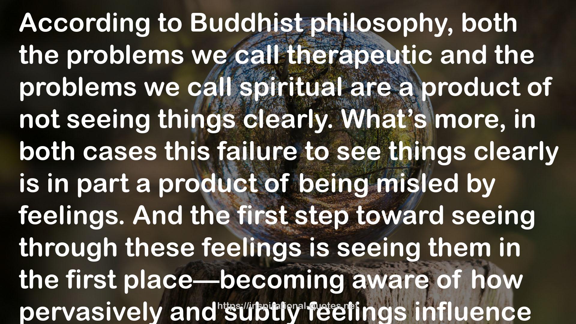 Why Buddhism is True: The Science and Philosophy of Meditation and Enlightenment QUOTES