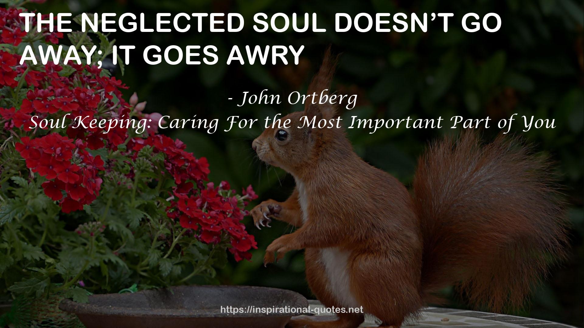 Soul Keeping: Caring For the Most Important Part of You QUOTES