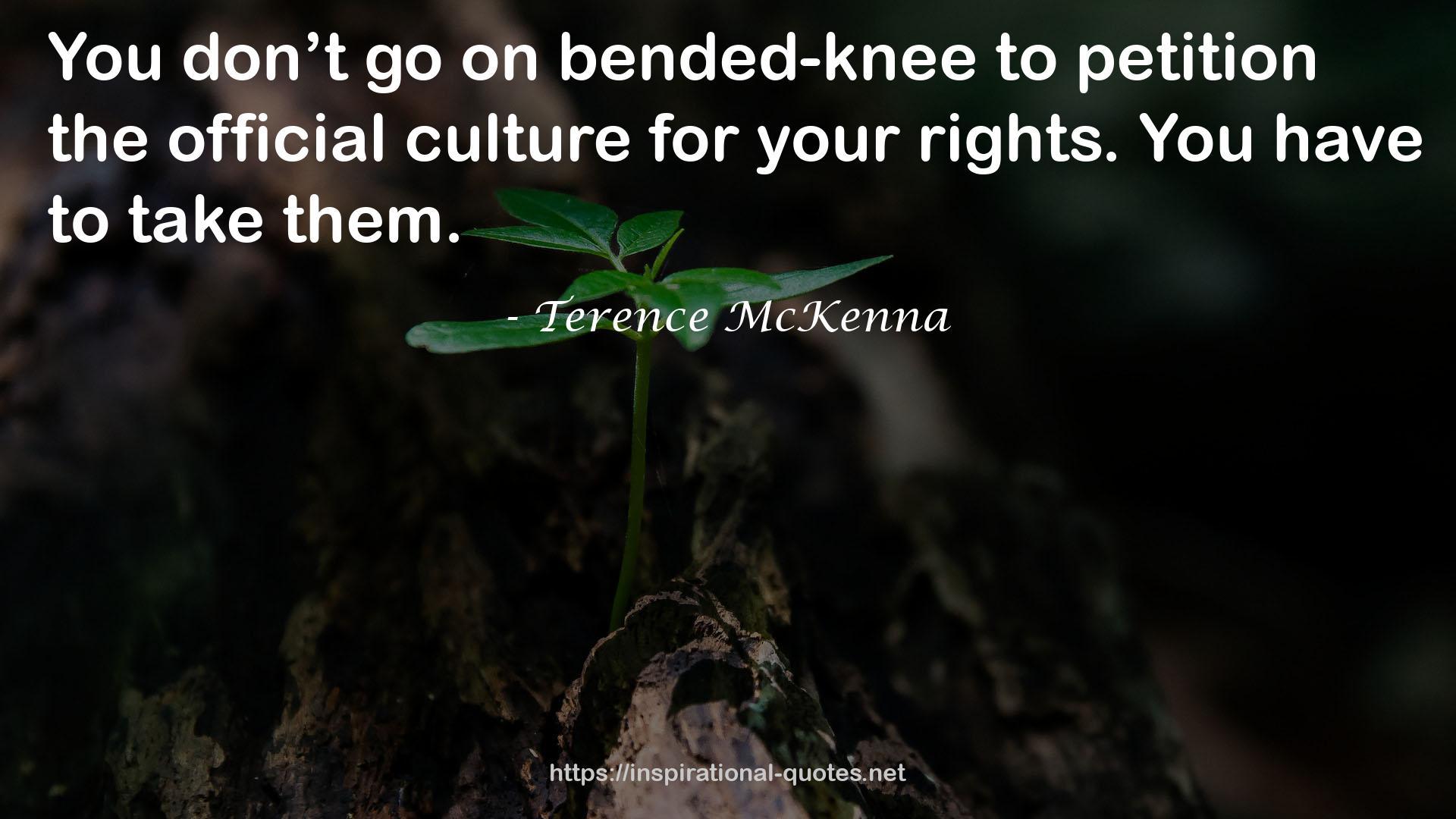 bended-knee  QUOTES