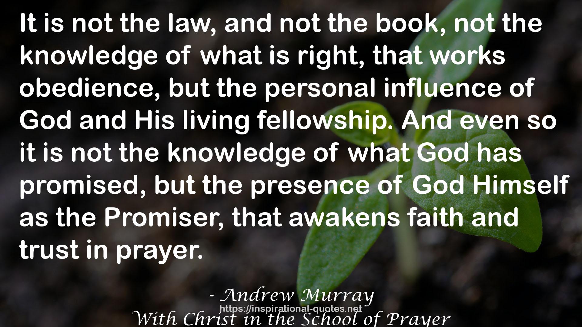 Andrew Murray QUOTES