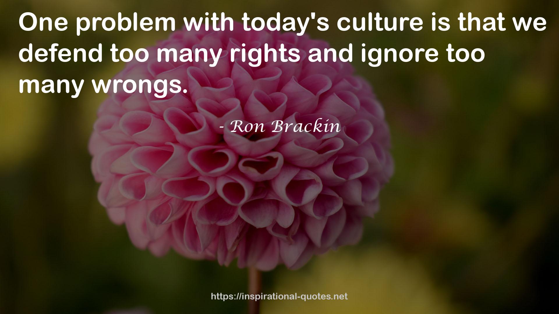 today's culture  QUOTES