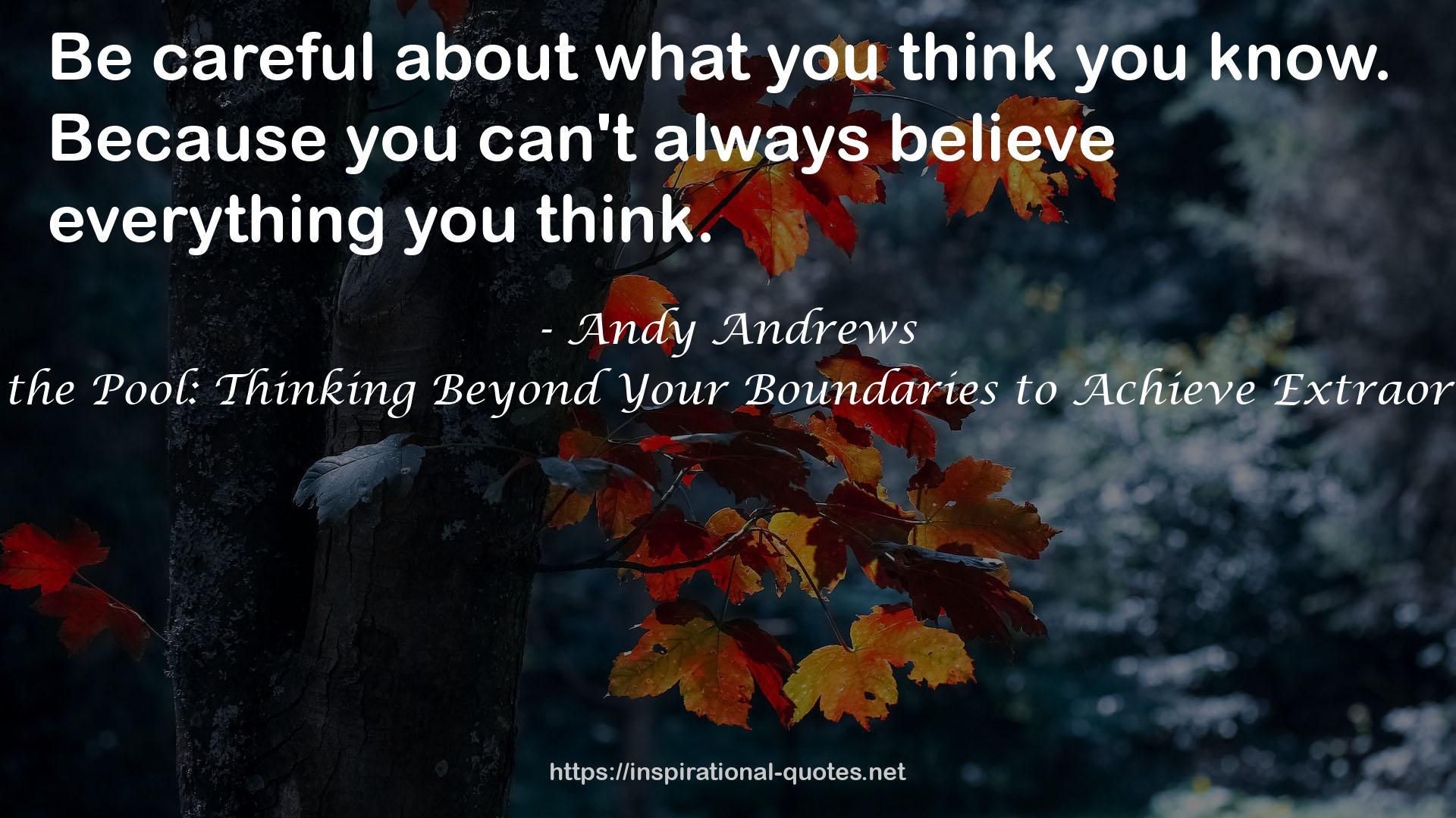 The Bottom of the Pool: Thinking Beyond Your Boundaries to Achieve Extraordinary Results QUOTES