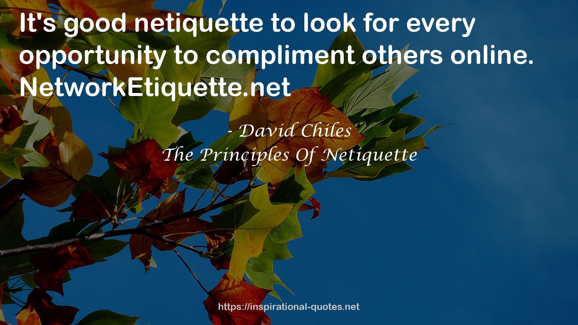 good netiquette  QUOTES